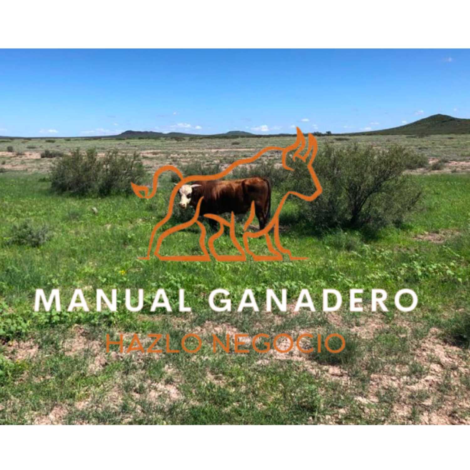 https://media.rss.com/manualganadero/20210903_020133_3e78299bcaaa3429914a7bd1e1dc2f1f.jpg