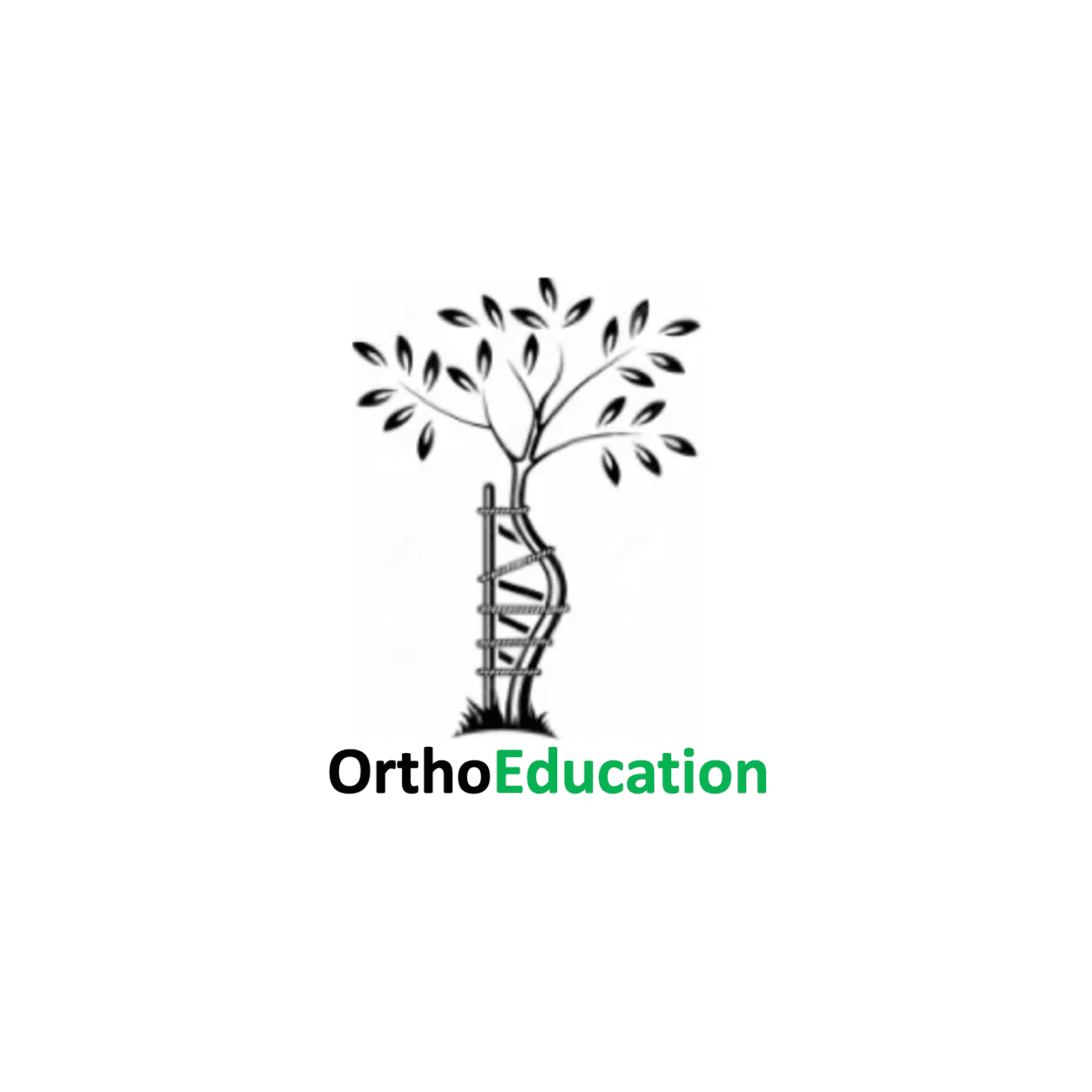 https://media.rss.com/orthoeducation/ep_cover_20251001_071018_ddfdb97bca9427cf47afe297098f1f51.png