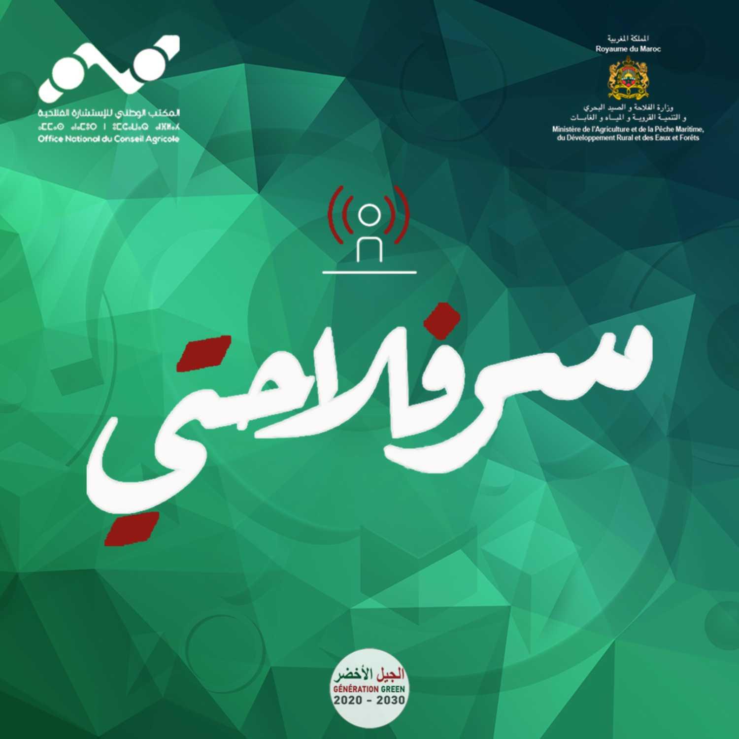 https://media.rss.com/serflahti/ep_cover_20230209_020234_1091271162a5c4058baf19a80d1fff55.jpg