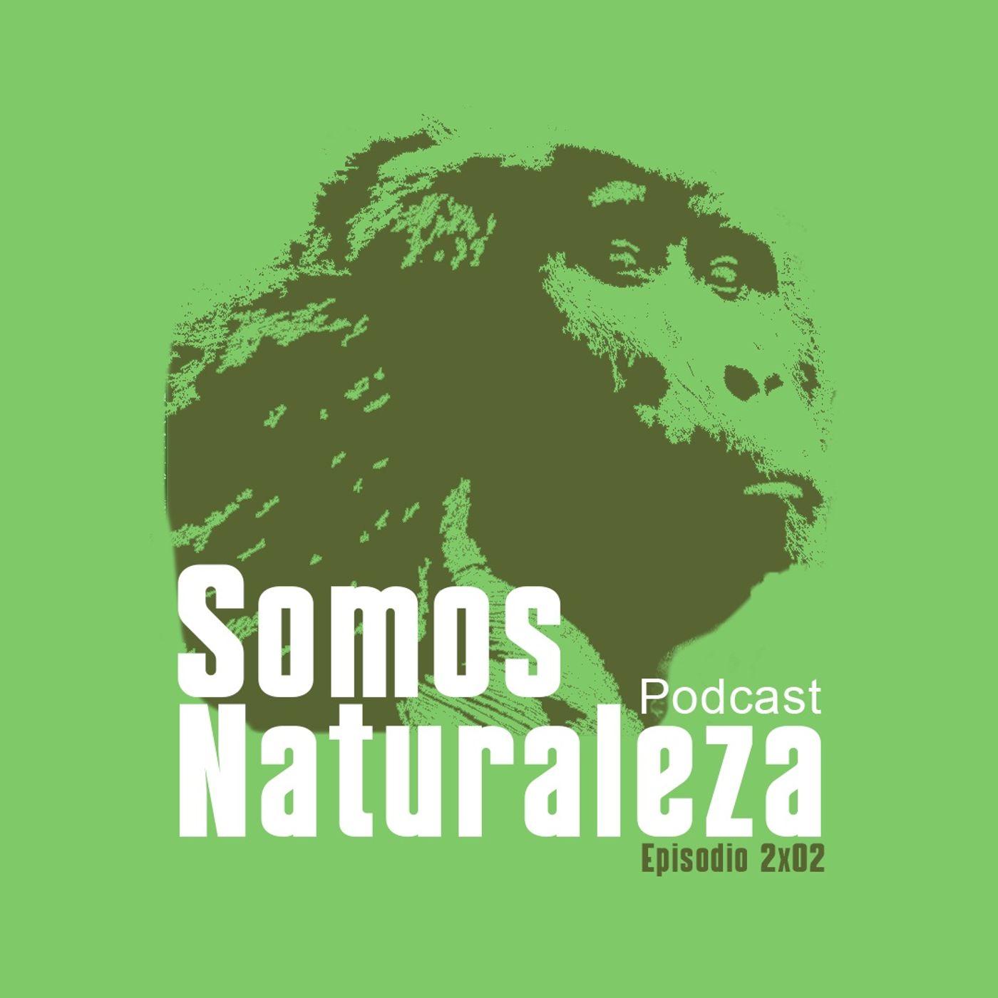 https://media.rss.com/somos-naturaleza/cover_81bd785bcbd61e3c68de1c12f54784f4.jpg