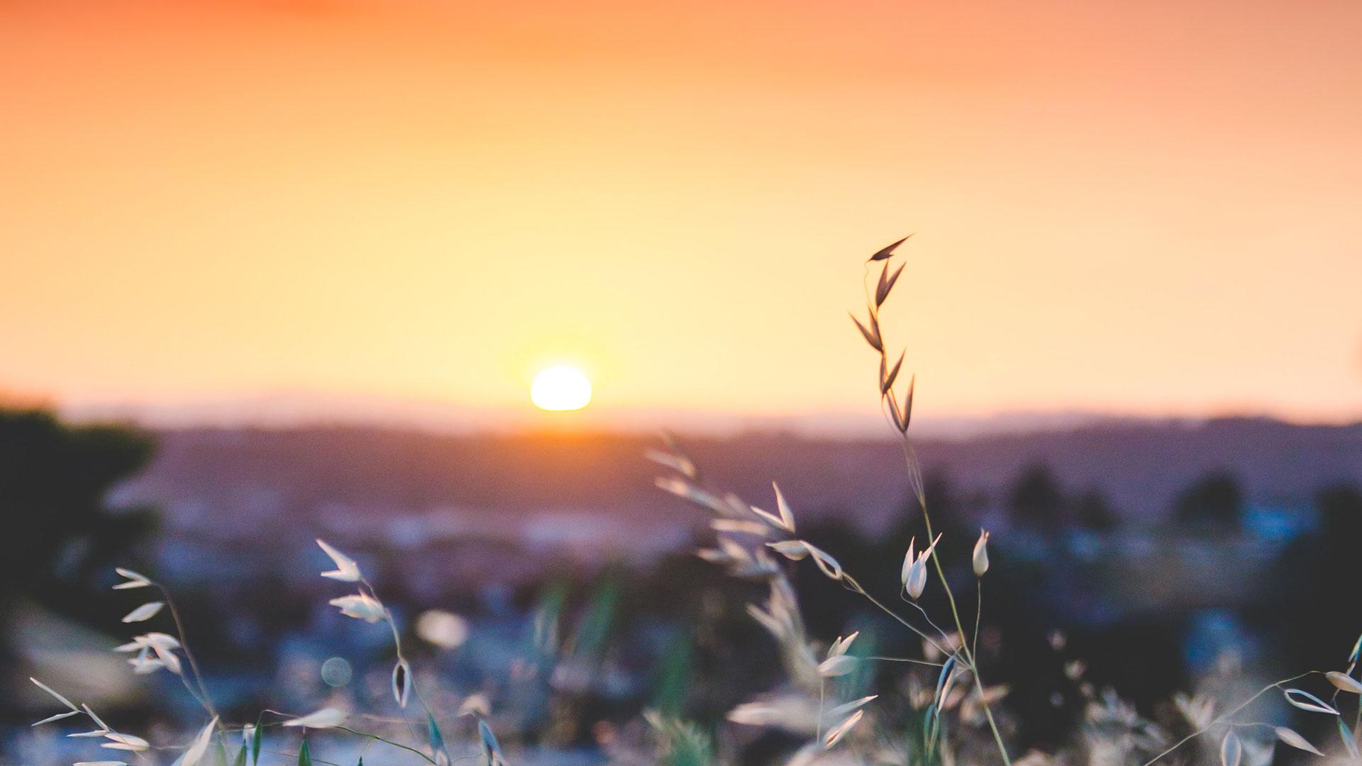 https://michaelssorensen.com/wp-content/uploads/2020/04/sapan-patel-i9Q9bc-WgfE-unsplash.jpg