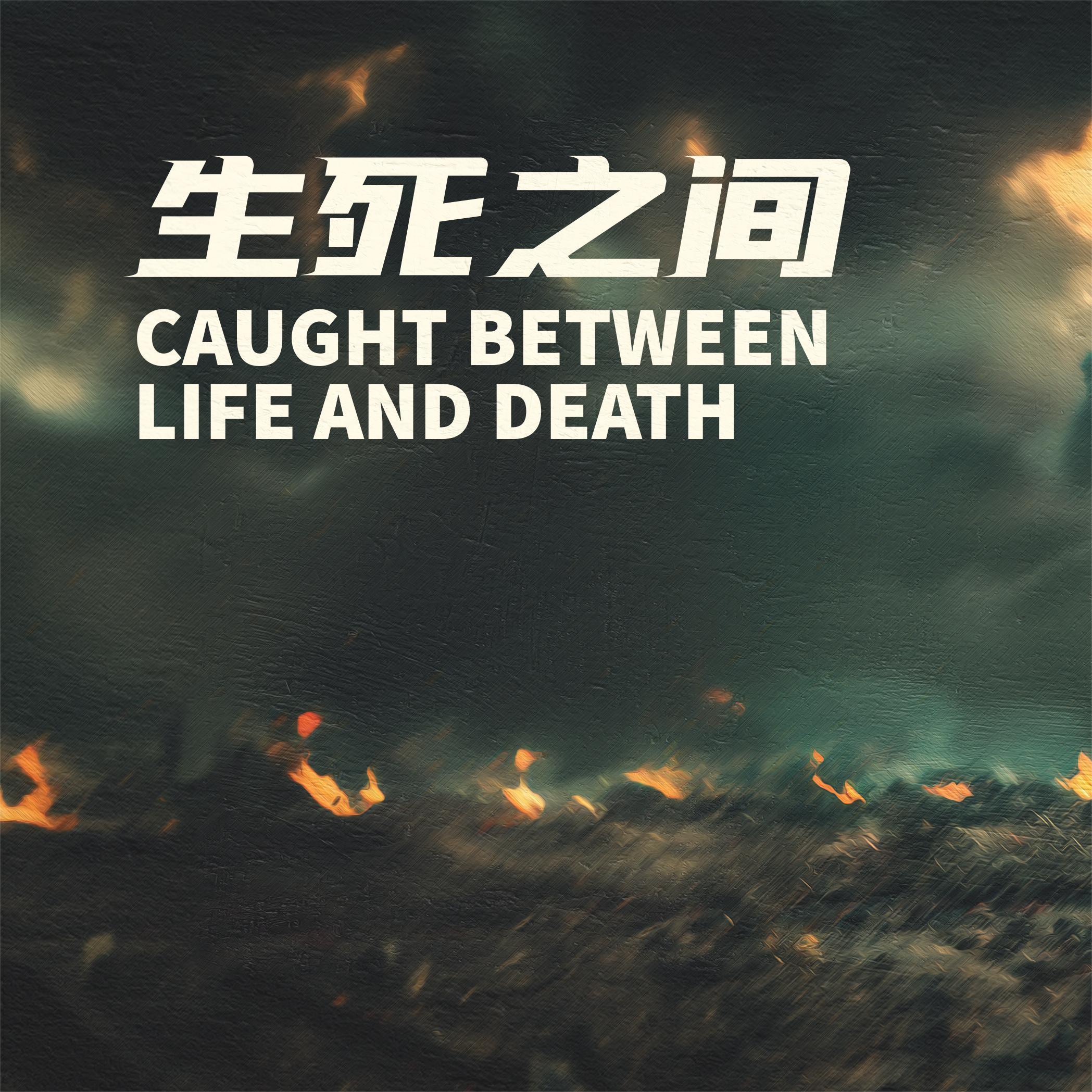https://news.cgtn.com/rss/documentary/纪录片.jpeg