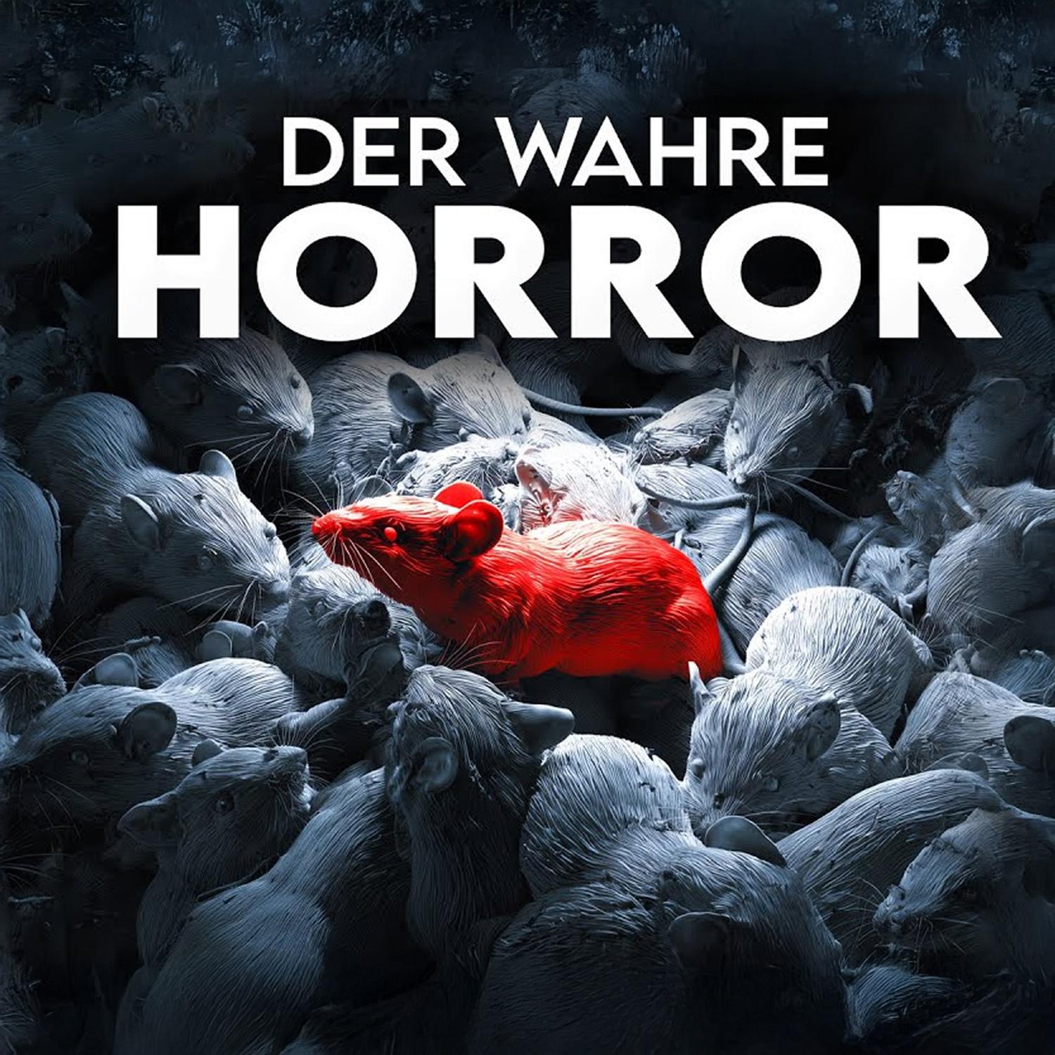 https://npzivj.podcaster.de/entropy/logos/Podcast_Thm_Kopie.jpg