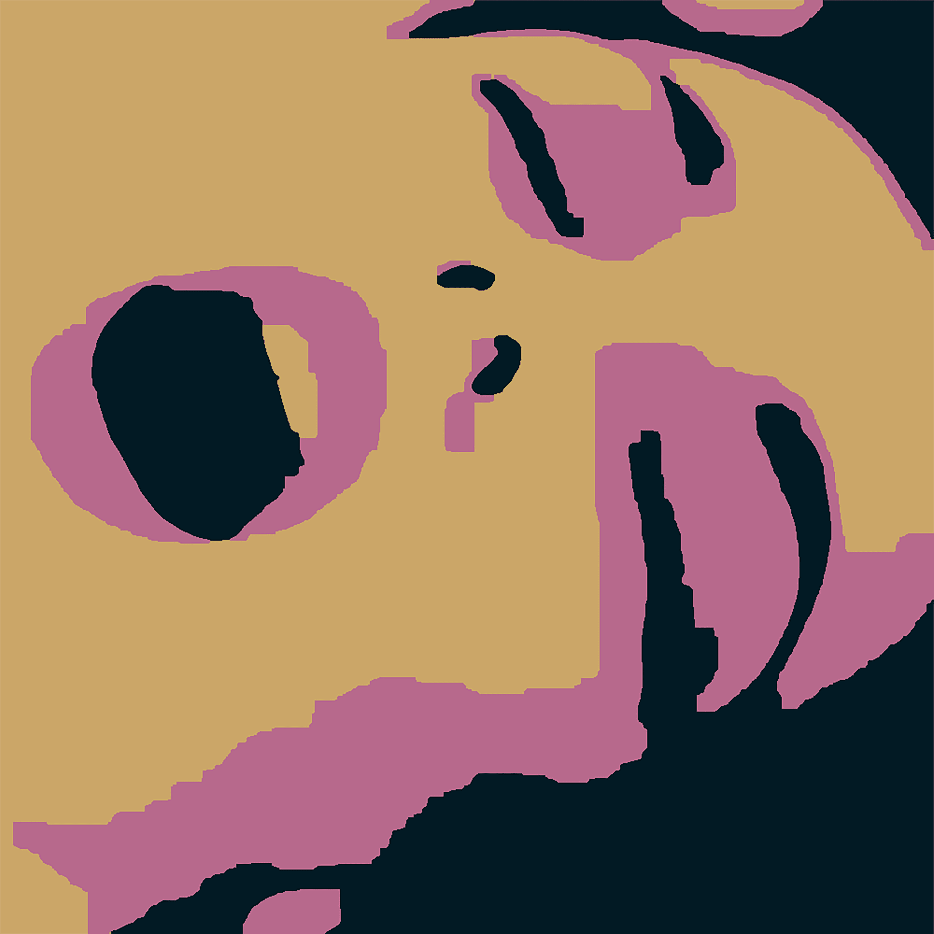 https://orgasm.s3.amazonaws.com/pc/media/art/petitemort.png
