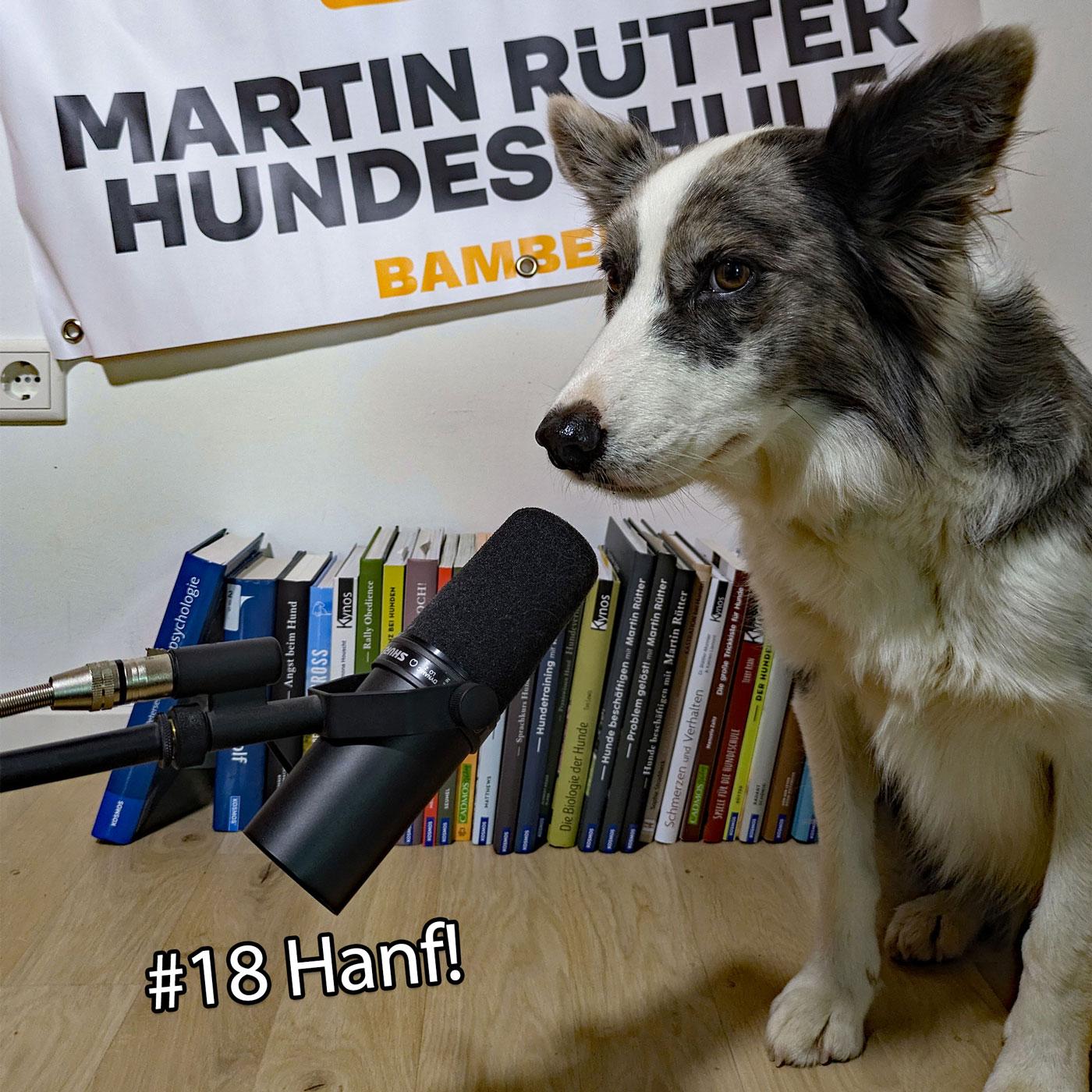 https://pawcast.podcaster.de/pawcast/logos/Episode18.jpg