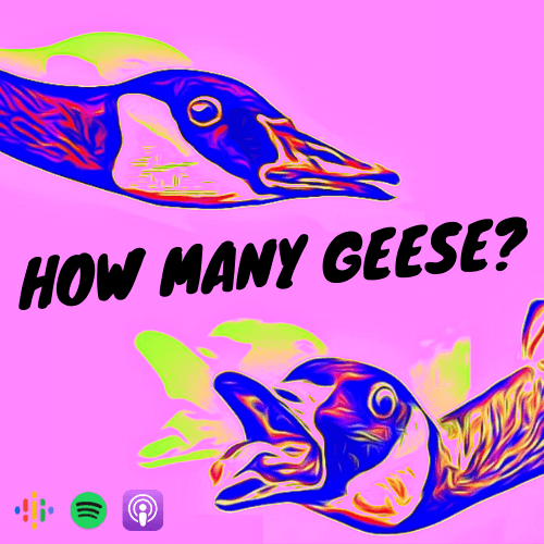 https://pbcdn1.podbean.com/imglogo/ep-logo/pbblog10684447/Pink_logo88nf3.png