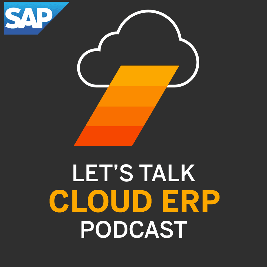 https://pbcdn1.podbean.com/imglogo/ep-logo/pbblog13463173/LT-ERP-OPTION4_skdinw.png
