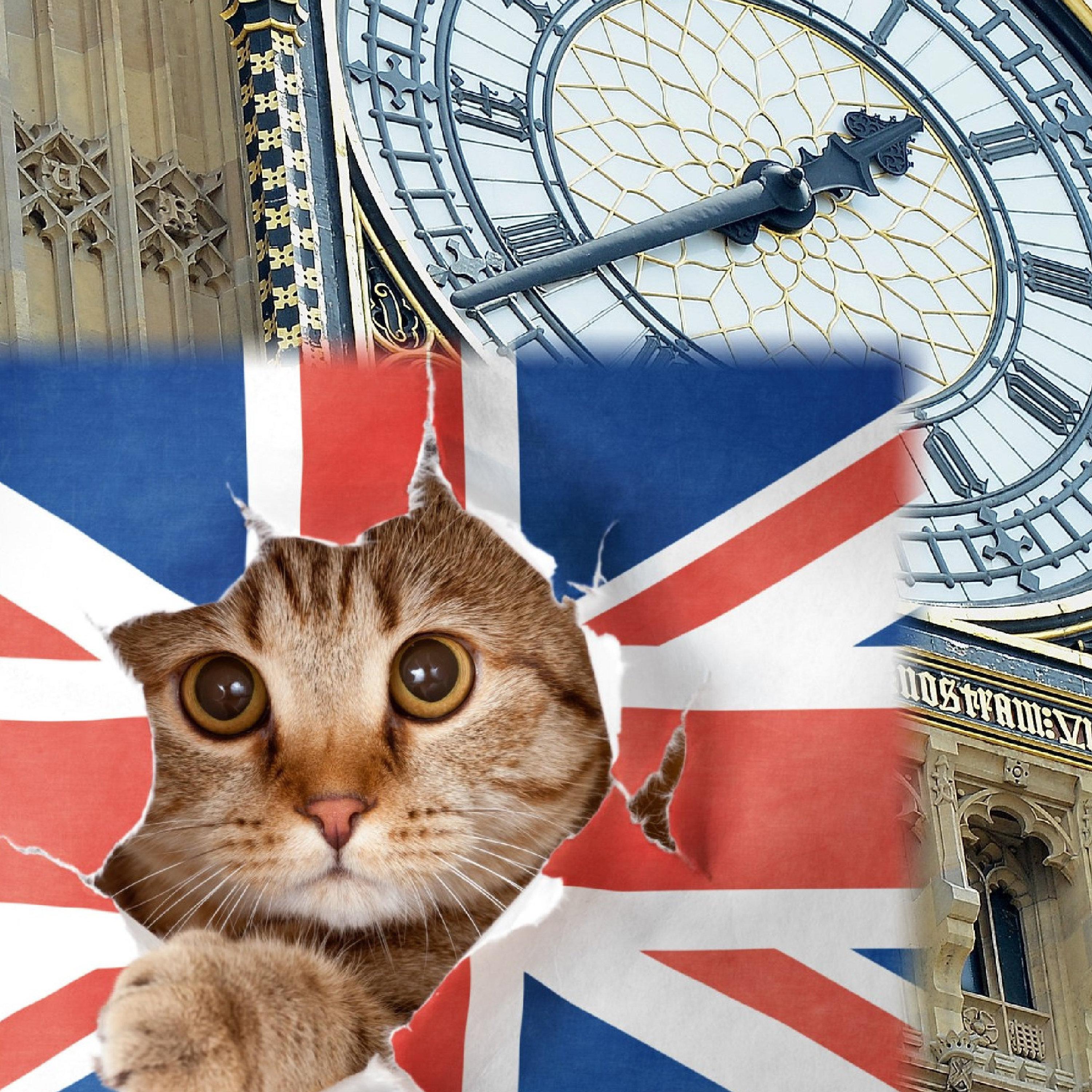https://pbcdn1.podbean.com/imglogo/ep-logo/pbblog13961103/0084_big_ben_podbean_09302025_ba49h9.jpg