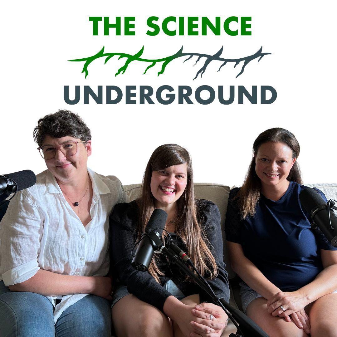 https://pbcdn1.podbean.com/imglogo/ep-logo/pbblog16393768/Ep_345_1_781ay.jpg