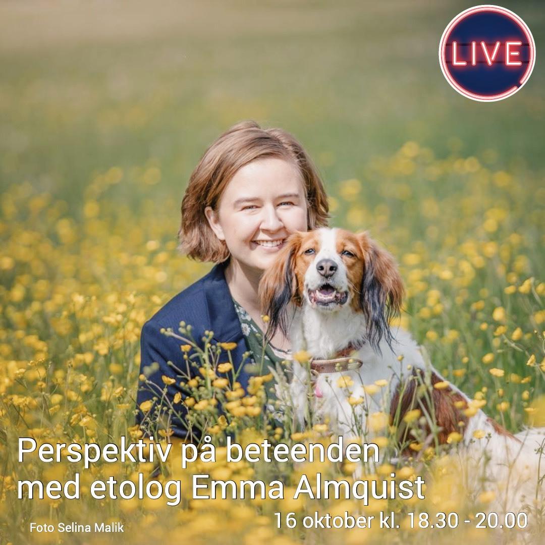 https://pbcdn1.podbean.com/imglogo/ep-logo/pbblog1751768/Emma_poddbild7c0gn.jpg
