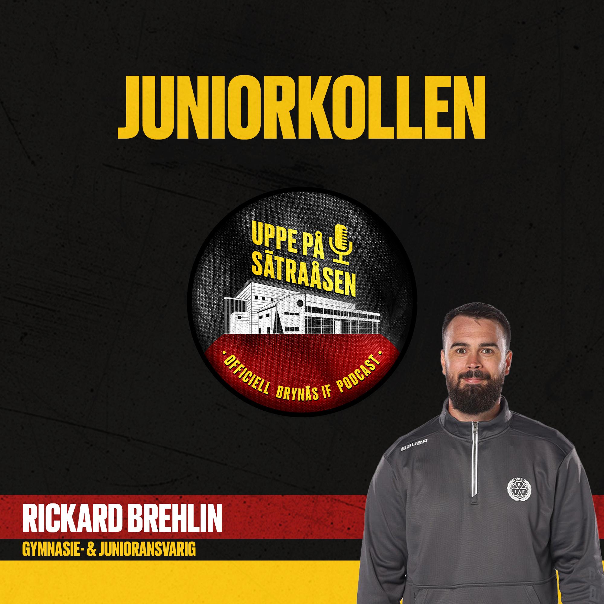 https://pbcdn1.podbean.com/imglogo/ep-logo/pbblog17580362/brillan-thumbnail-podd.jpg