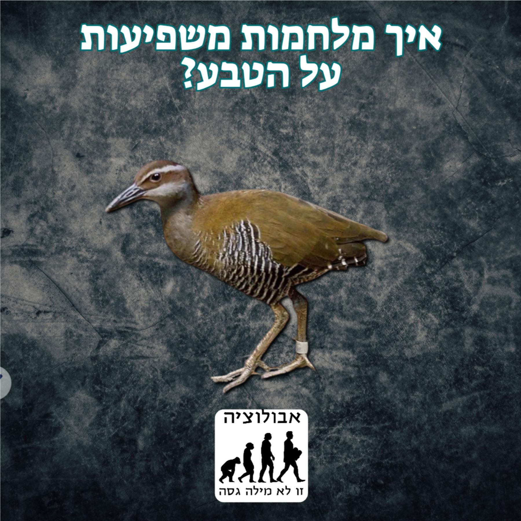 https://pbcdn1.podbean.com/imglogo/ep-logo/pbblog18071369/Screenshot_20250622-_imresizer7ys0f.jpg