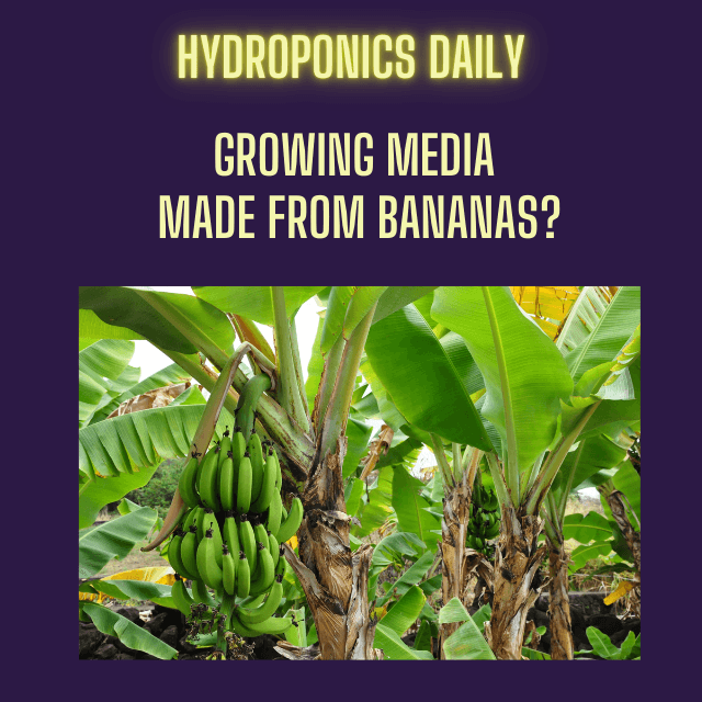 https://pbcdn1.podbean.com/imglogo/ep-logo/pbblog20018870/_640_x_640_px_91_77g6z.png