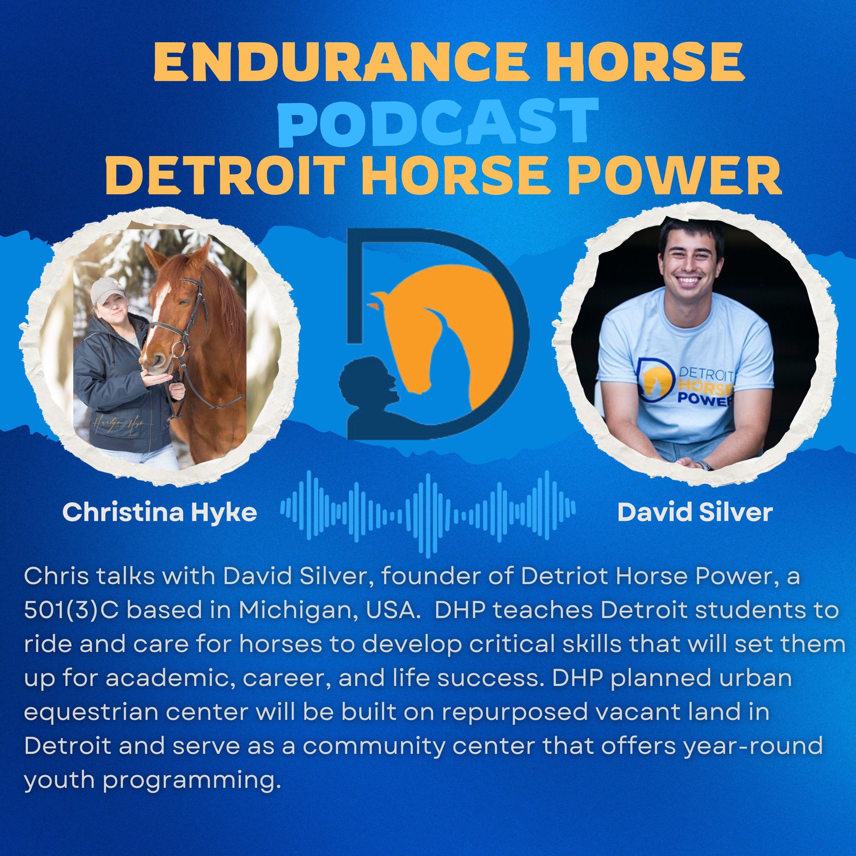 https://pbcdn1.podbean.com/imglogo/ep-logo/pbblog2635128/Detroit_Horse_Power9im6e.jpg
