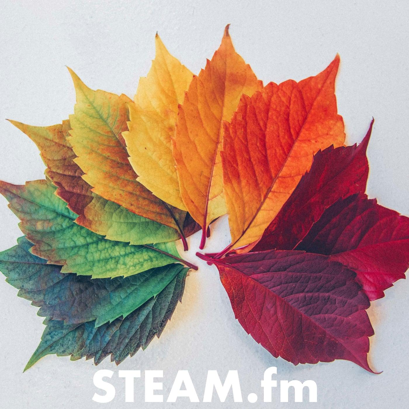 https://pbcdn1.podbean.com/imglogo/ep-logo/pbblog348623/STEAM-214.jpg