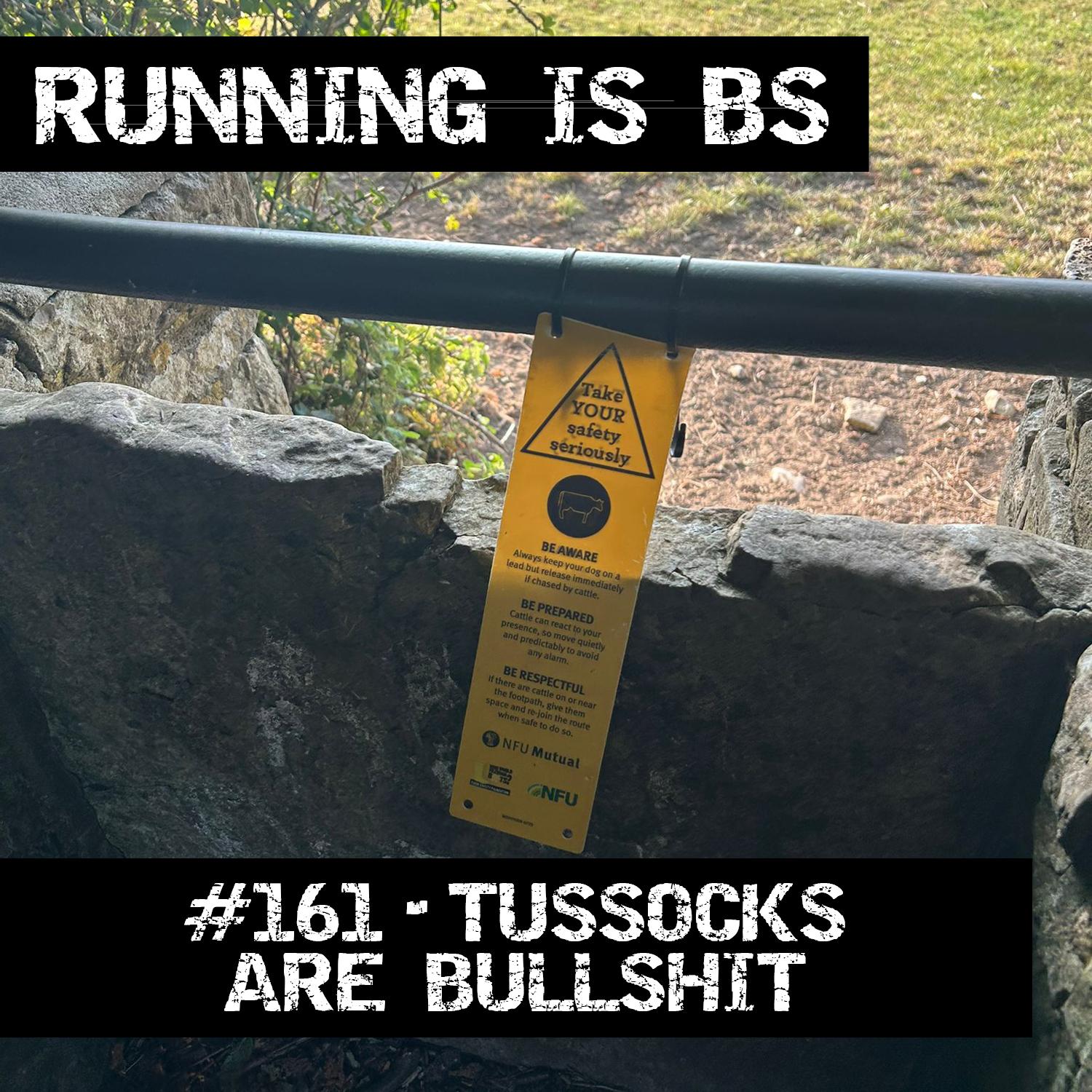 https://pbcdn1.podbean.com/imglogo/ep-logo/pbblog3593846/161_cover9u3s1.jpg
