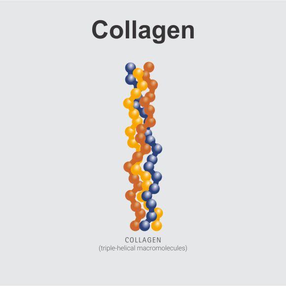 https://pbcdn1.podbean.com/imglogo/ep-logo/pbblog6416110/Collagen-1.jpg