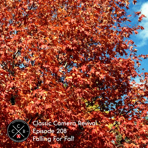 https://pbcdn1.podbean.com/imglogo/ep-logo/pbblog722993/ccr-ep208-fallingforfall-ion.jpg