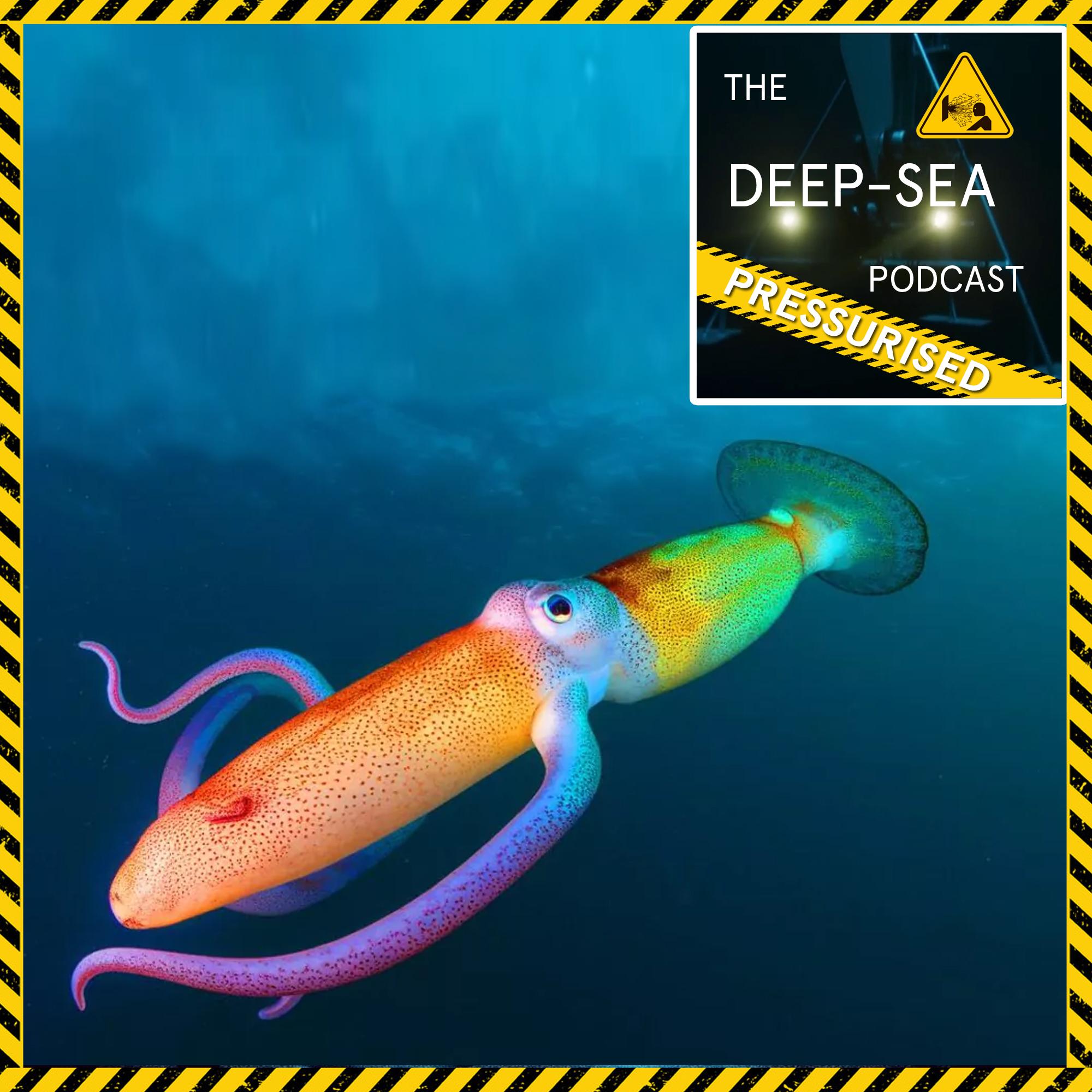 https://pbcdn1.podbean.com/imglogo/ep-logo/pbblog7927784/Ep_62_pressurised8pukm.jpg