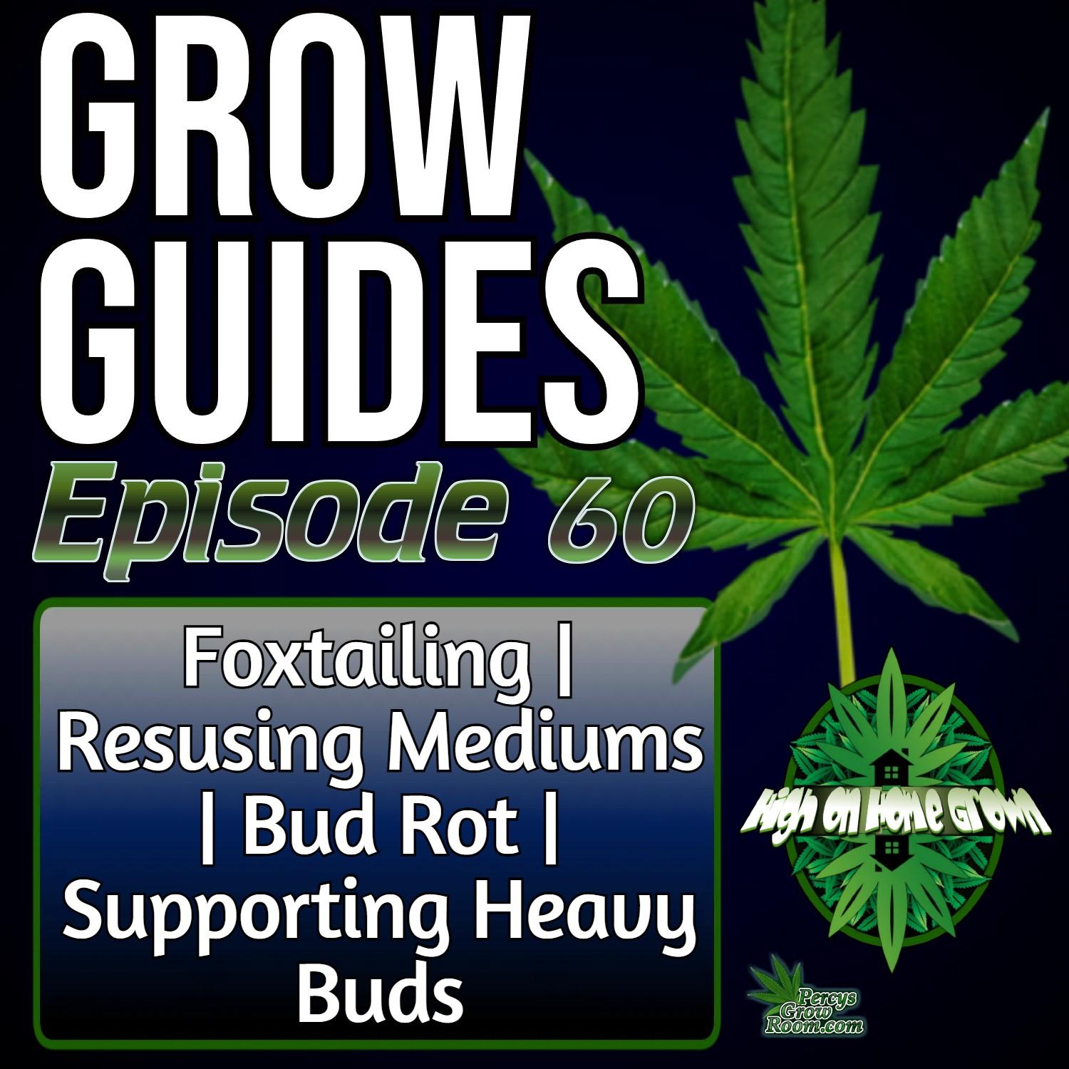 https://pbcdn1.podbean.com/imglogo/ep-logo/pbblog8979549/gg_episdoe_60_tn9qqpi.jpg