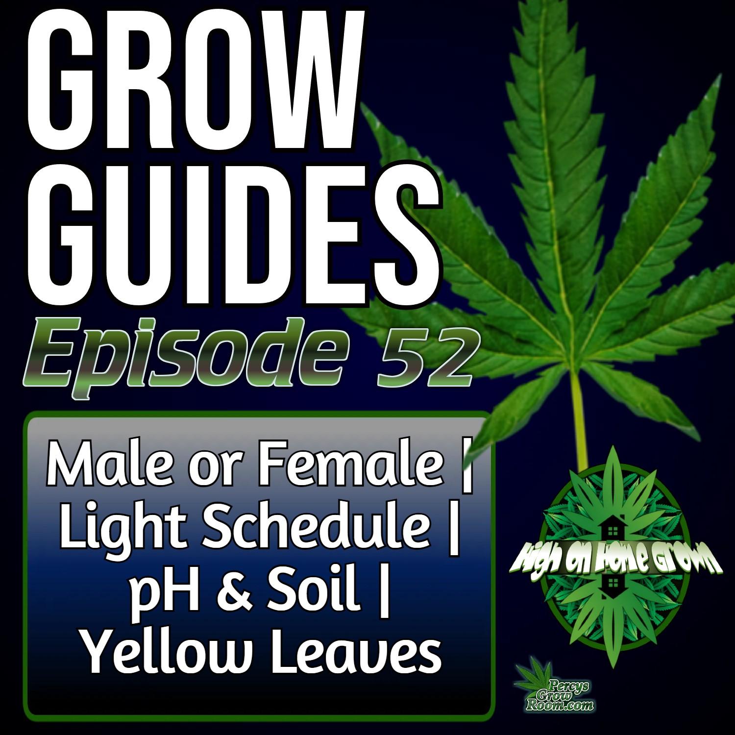 https://pbcdn1.podbean.com/imglogo/ep-logo/pbblog8979549/grwoguides_52_tnaq1us.jpg