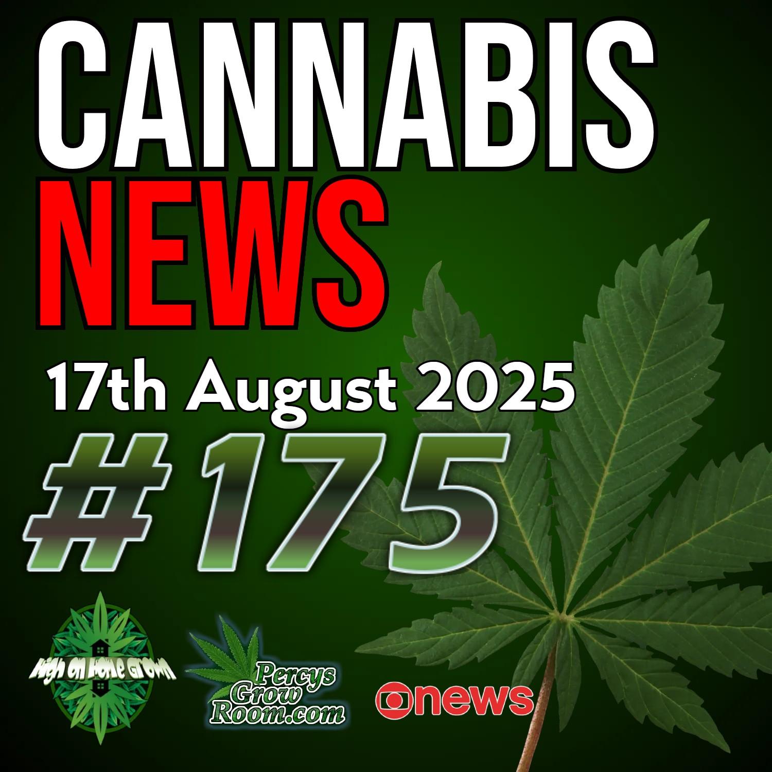 https://pbcdn1.podbean.com/imglogo/ep-logo/pbblog8979549/news_175_tn6yzg2.jpg