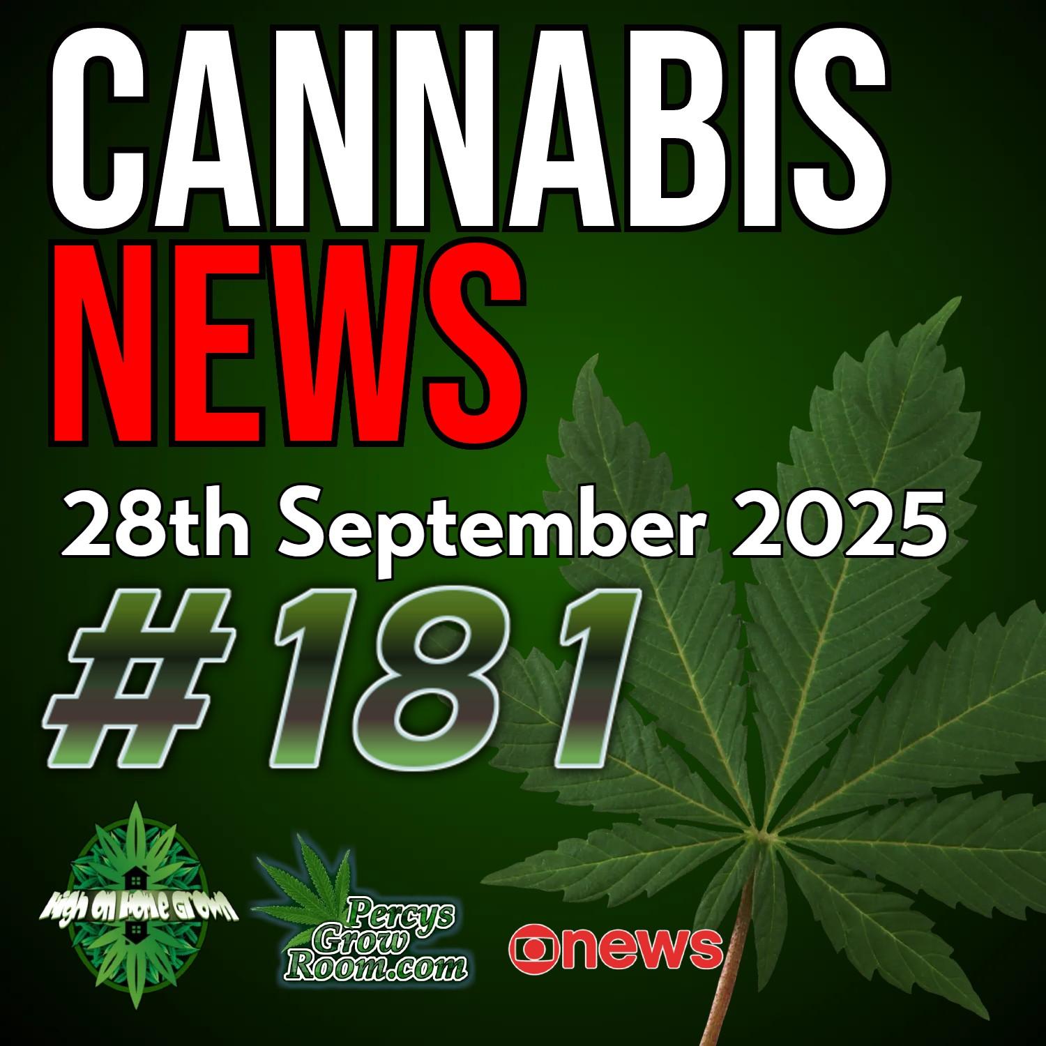 https://pbcdn1.podbean.com/imglogo/ep-logo/pbblog8979549/news_181_tn7il0p.jpg