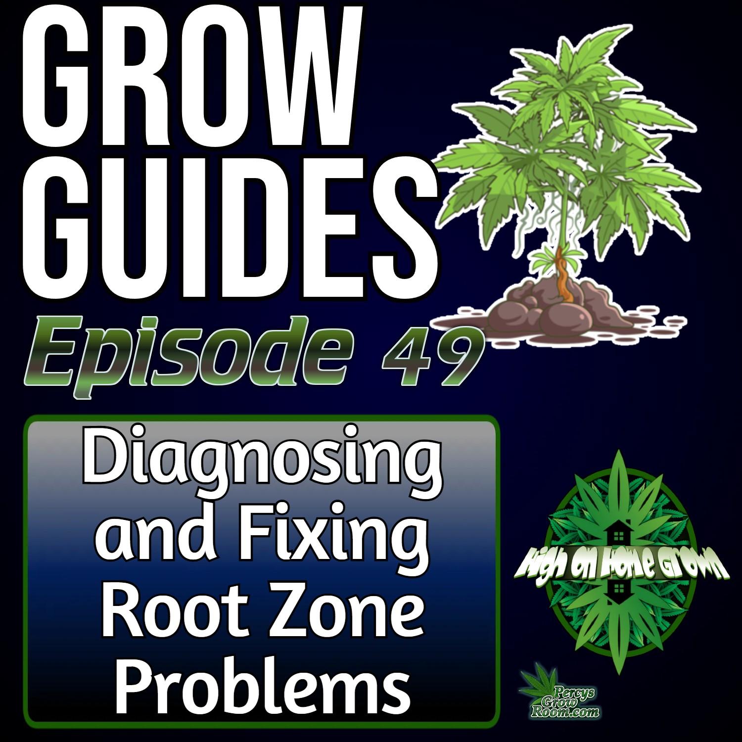 https://pbcdn1.podbean.com/imglogo/ep-logo/pbblog8979549/root_zone_gg82l2z.jpg