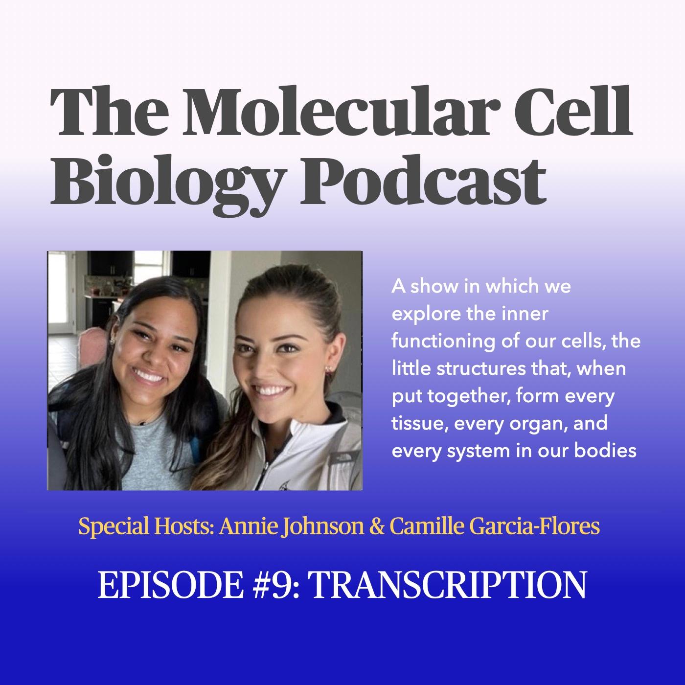 https://pbcdn1.podbean.com/imglogo/ep-logo/pbblog9456834/Episode9-Transcription.jpg