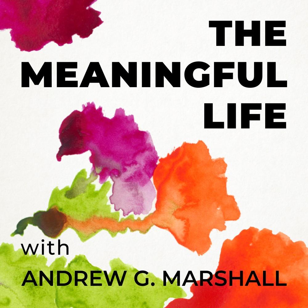 https://pbcdn1.podbean.com/imglogo/ep-logo/pbblog9890070/themeaningfullife_1000x1000.jpg