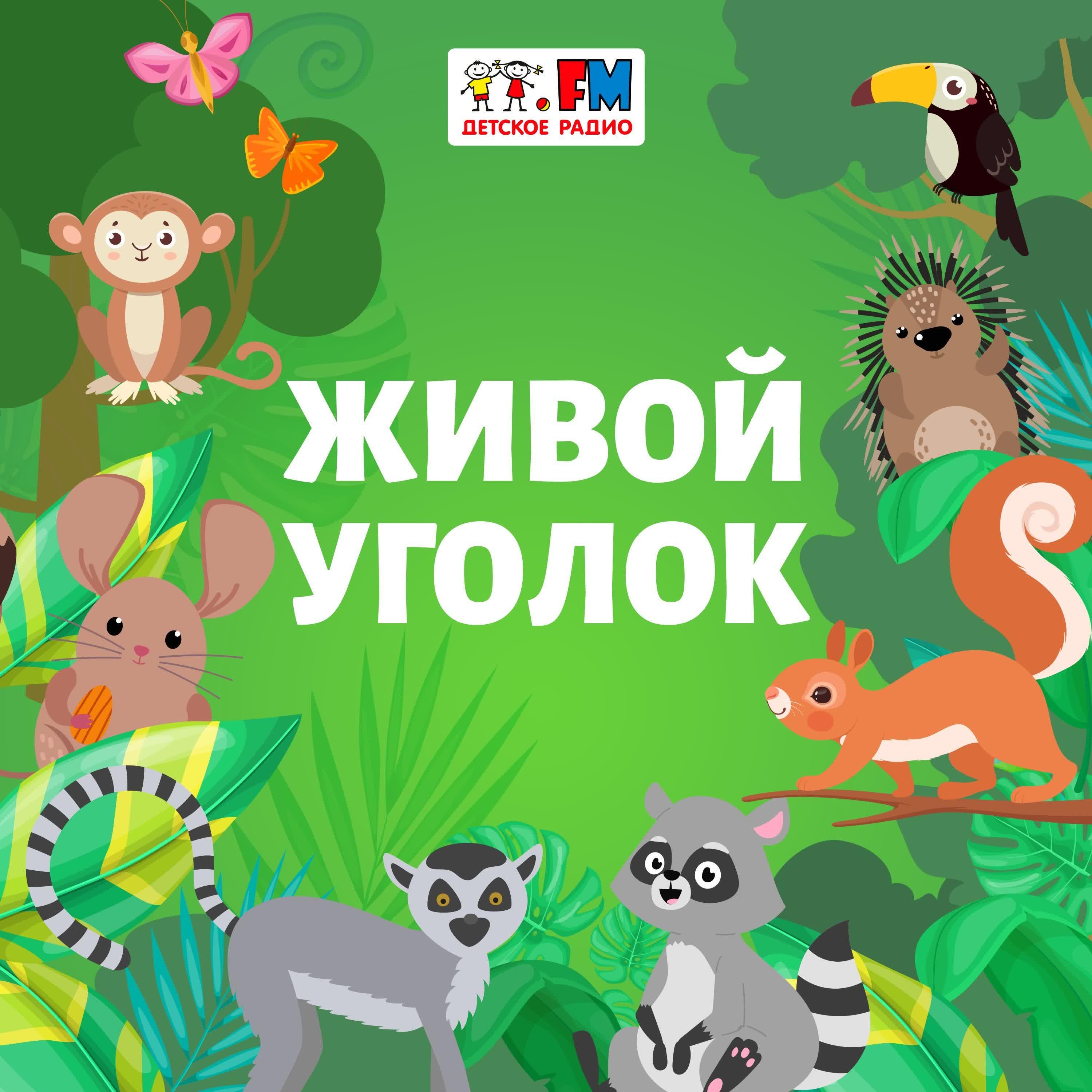 https://s3.castbox.fm/04/96/15/1871c8476c9b9cd0d367e68b59.jpg