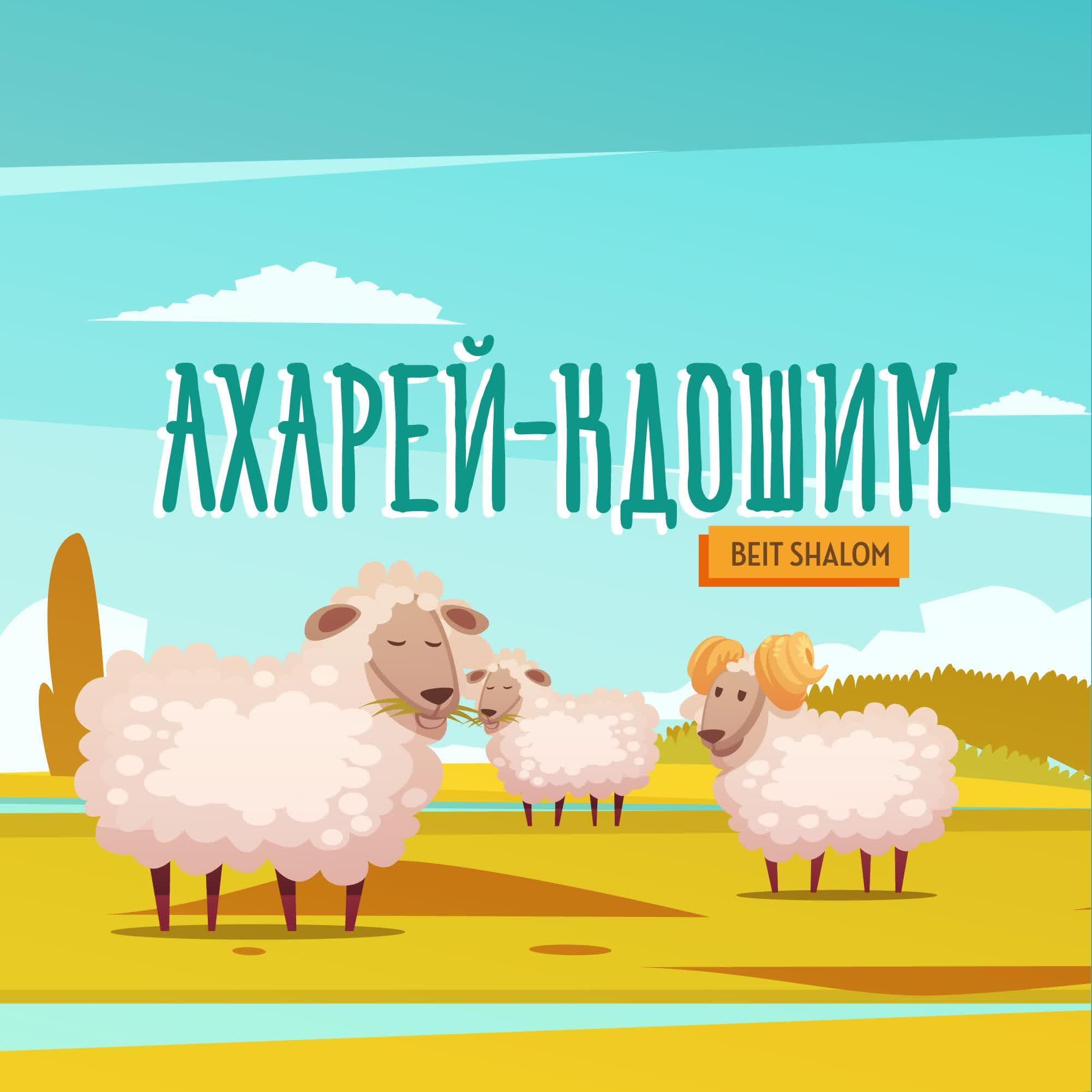 https://s3.castbox.fm/97/11/90/42411c4faba66be884a072b41c.jpg