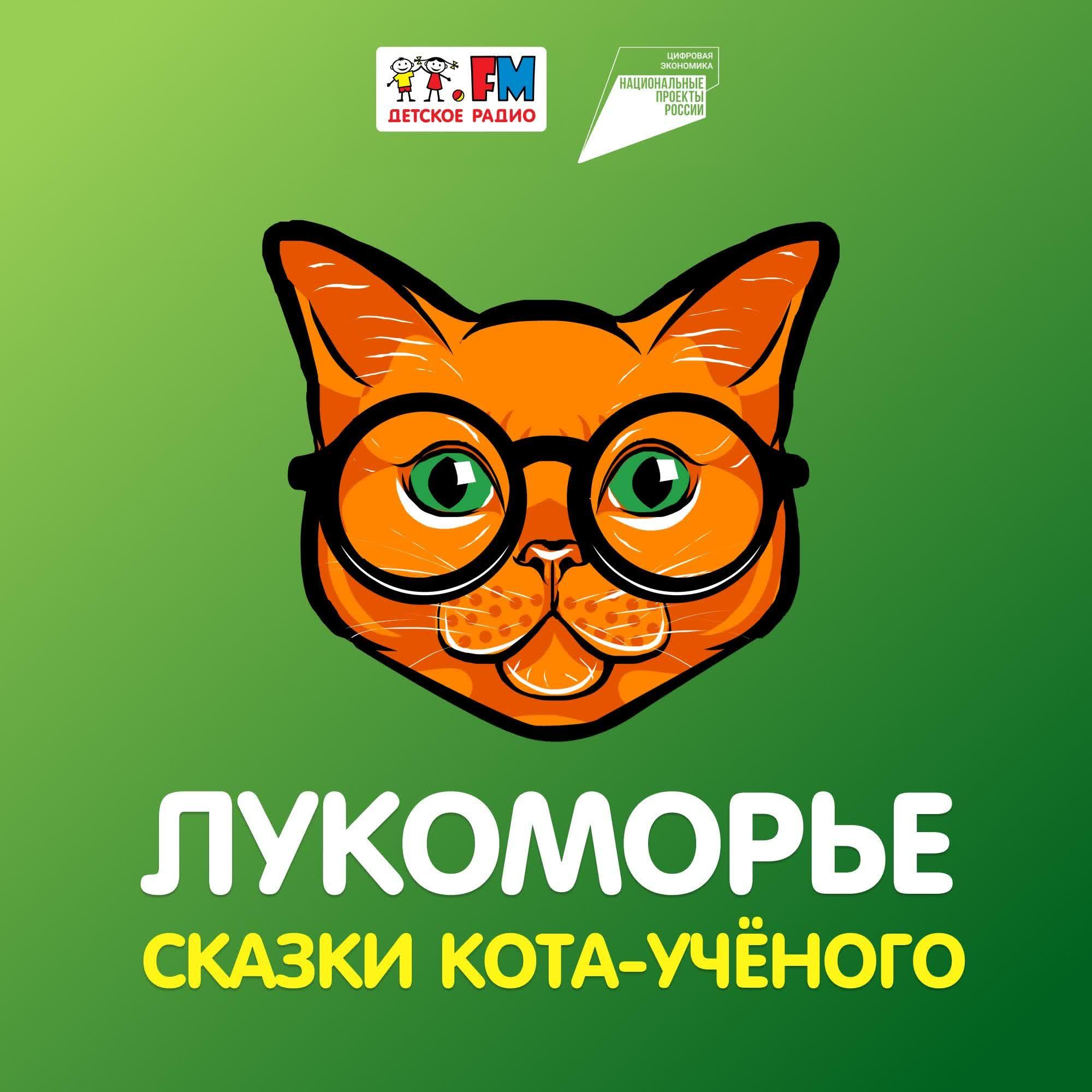 https://s3.castbox.fm/b9/ca/ae/708bc740d19ed1fa739b4521b2.jpg