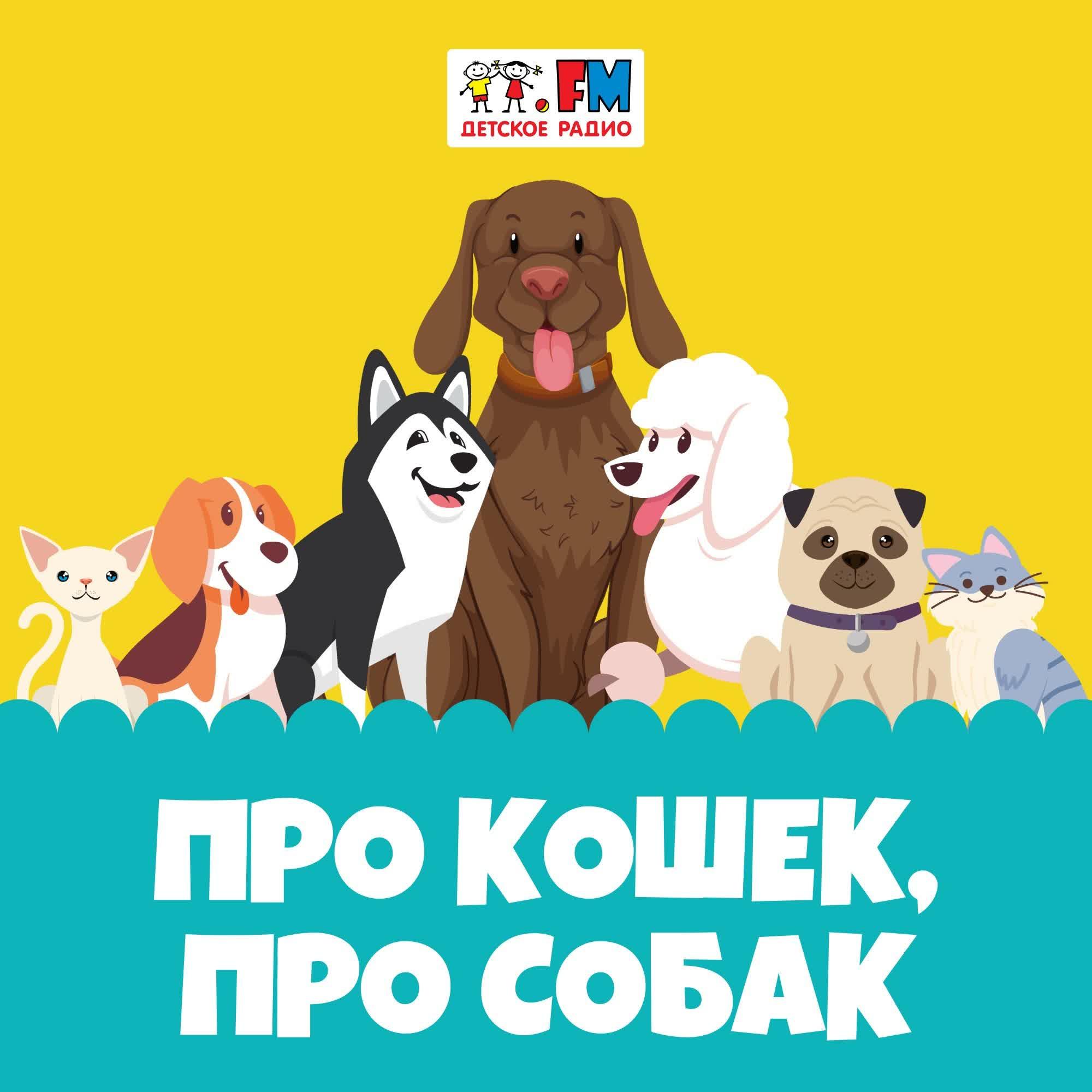 https://s3.castbox.fm/e4/cb/8d/d0b5234cbaae4aa38cb22f24b6.jpg