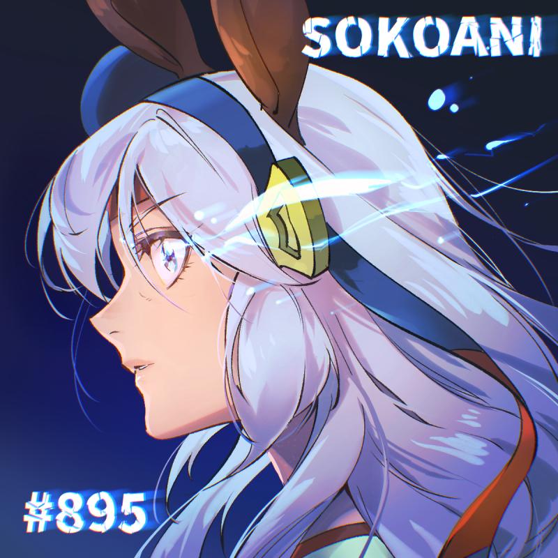 https://sokoani.com/wp-content/uploads/2025/07/895.jpg
