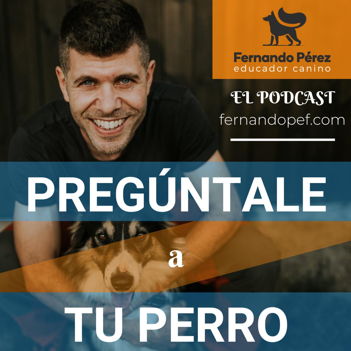 https://static-1.ivoox.com/canales/4/5/2/4/2271578584254_XXL.jpg