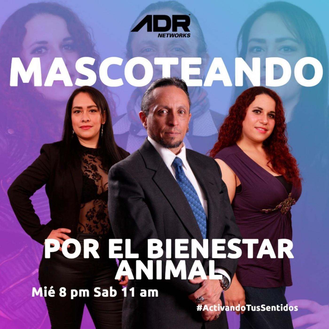 https://static-1.ivoox.com/canales/c/3/d/a/c3da7b6b49145d7820fa4ee687b6b6e3_XXL.jpg