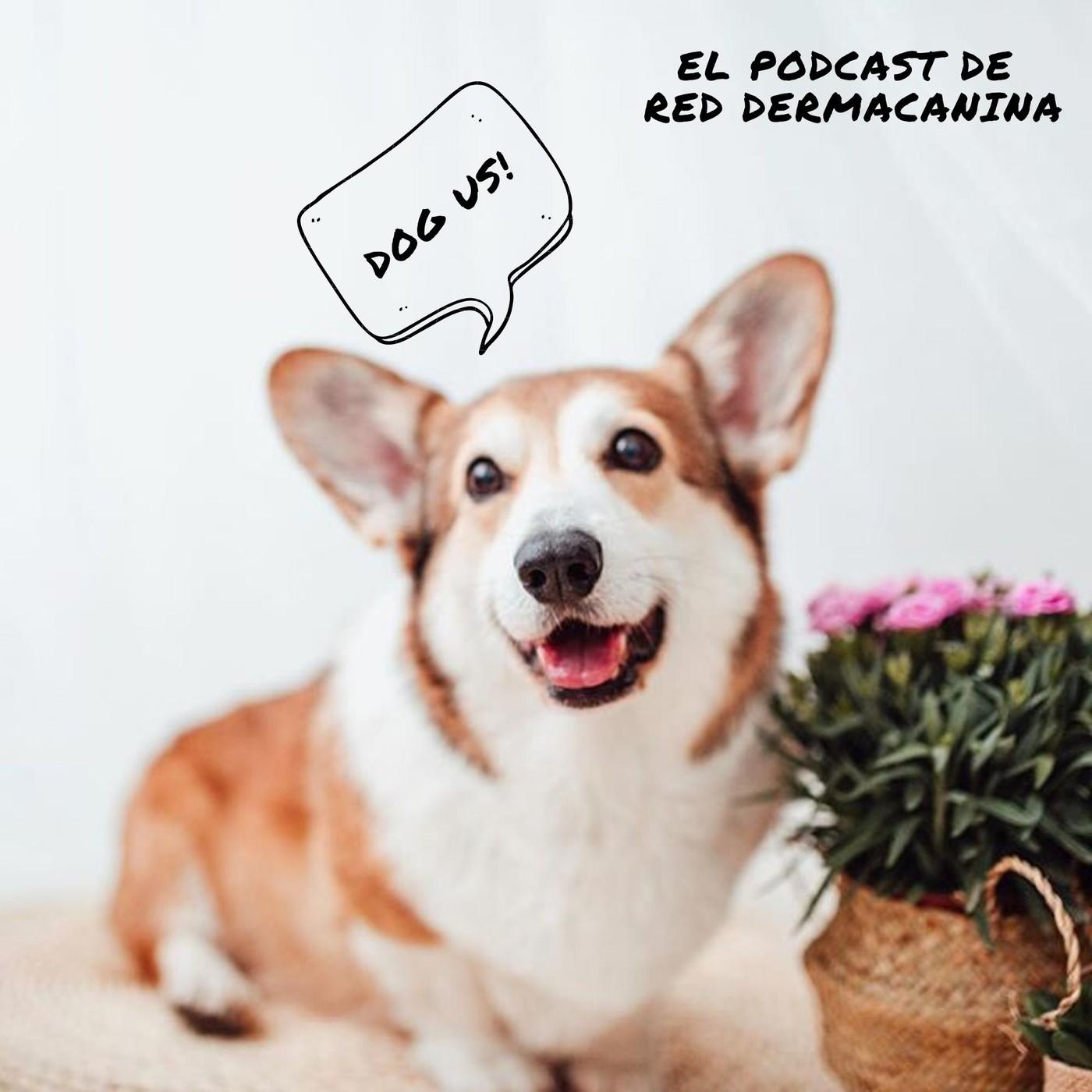 https://static-2.ivoox.com/canales/9/3/6/0/7831581930639_XXL.jpg