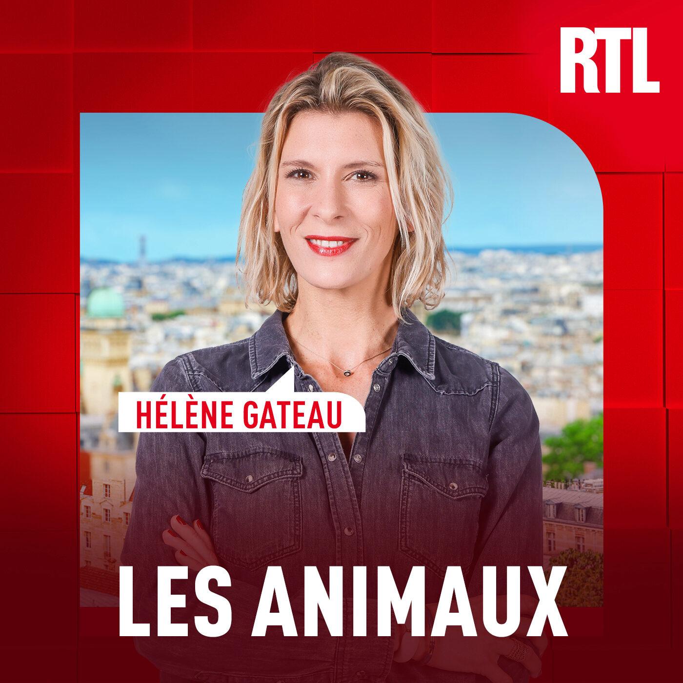 https://static.audiomeans.fr/img/episode/91f628c5-693a-416c-be91-1c5d08395e02.jpg