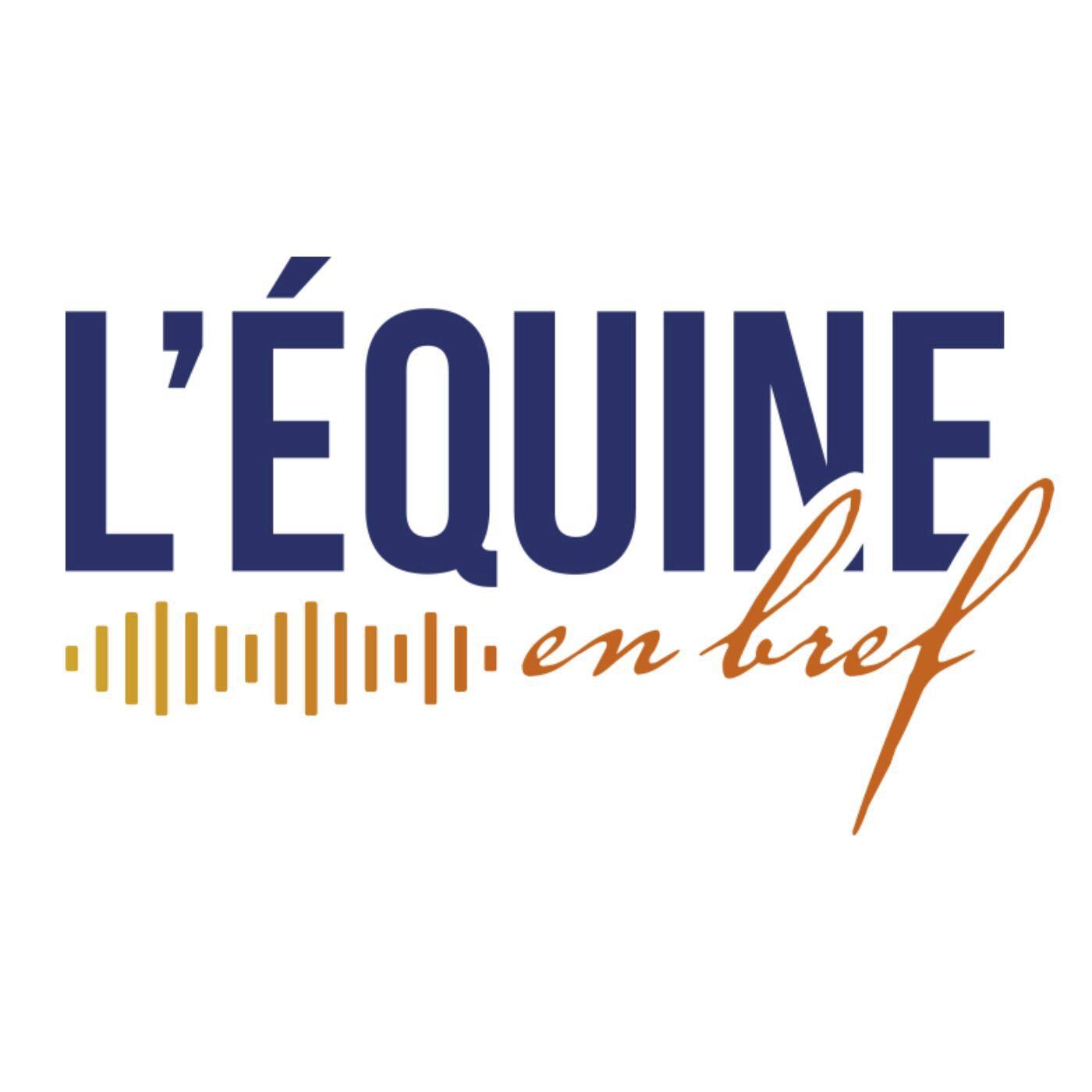 https://static.audiomeans.fr/img/episode/a4b78a18-1b34-4bb7-b2b0-f0af318653af.jpg