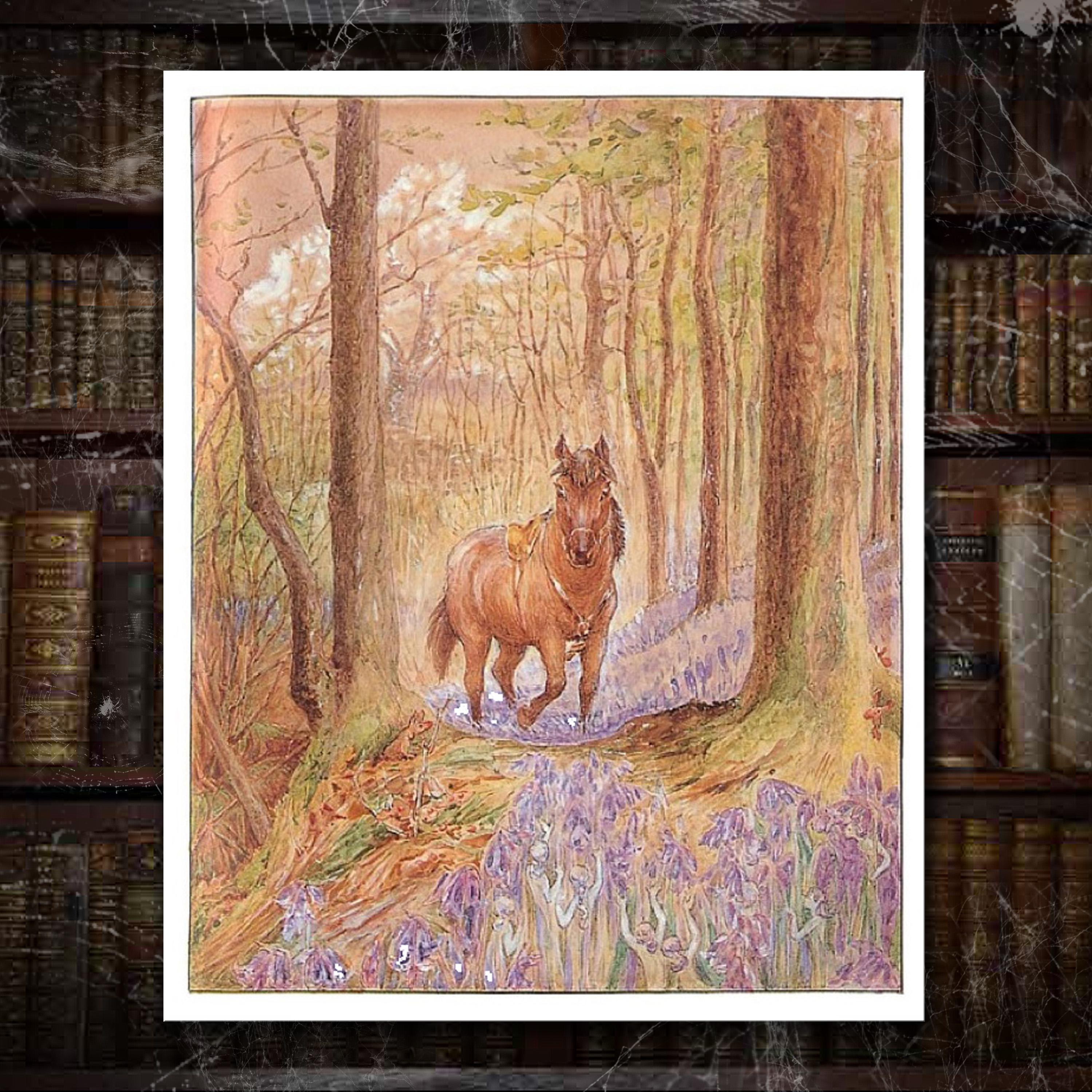 https://static.libsyn.com/p/assets/3/7/7/5/37752a71ba8bf887d959afa2a1bf1c87/bluebells.jpg