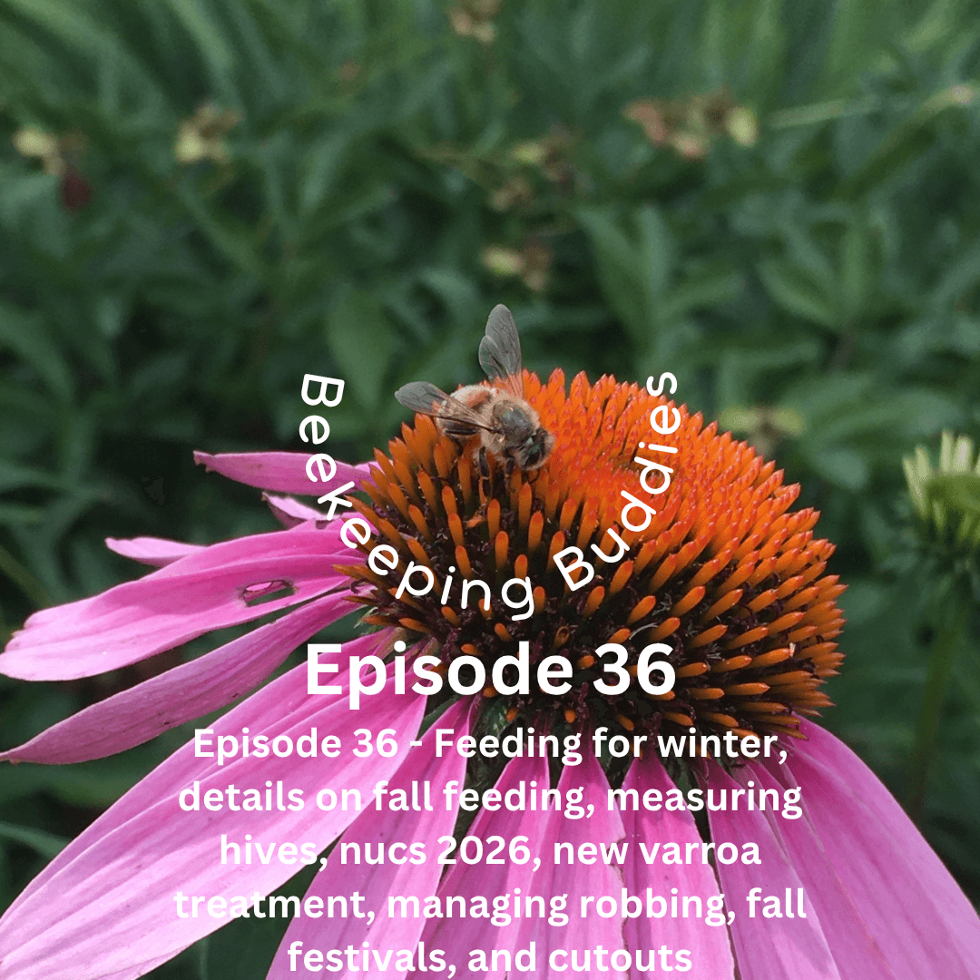 https://static.libsyn.com/p/assets/4/6/e/b/46eb8edbdefea215d959afa2a1bf1c87/Episode_36.png