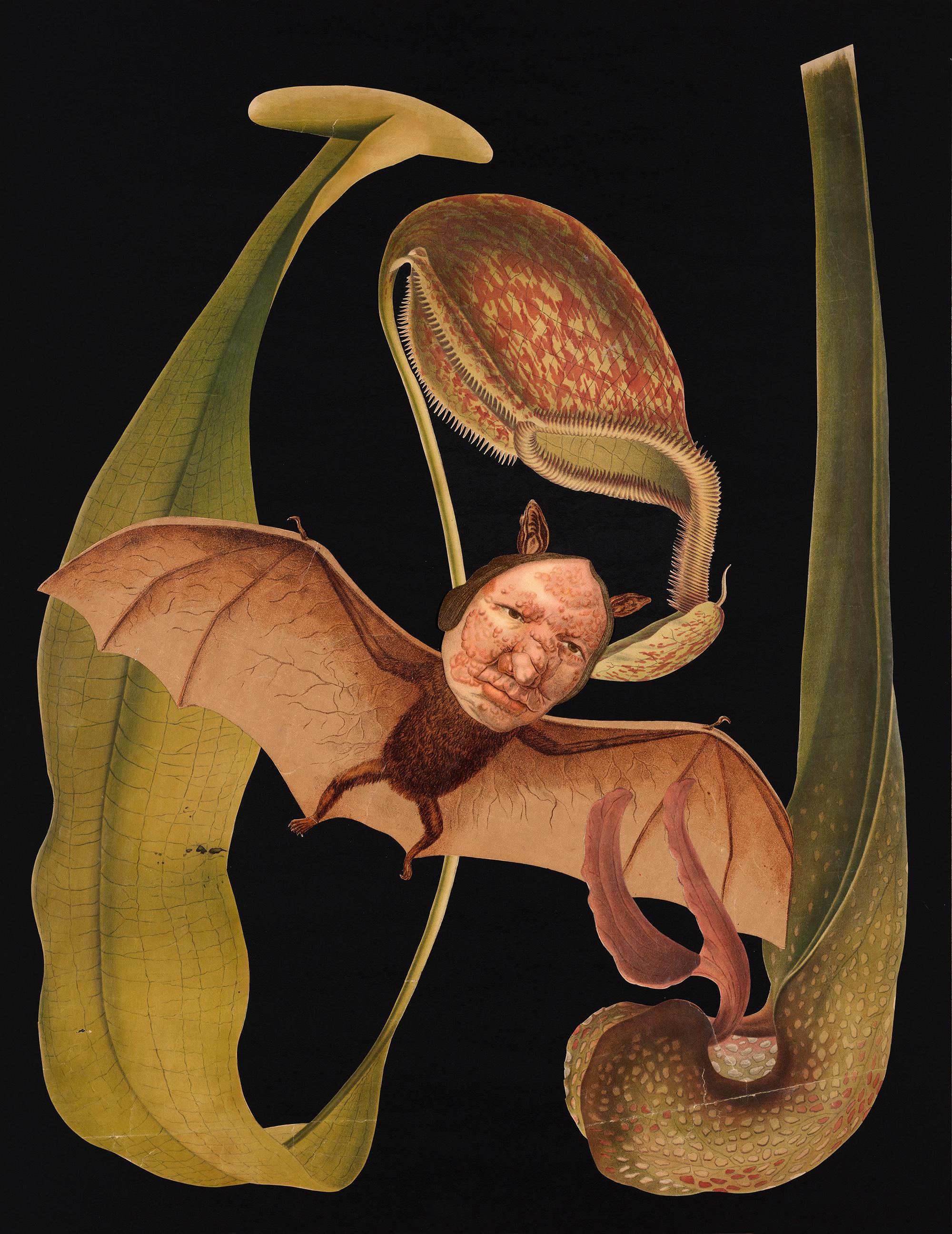 https://static.libsyn.com/p/assets/a/8/c/e/a8ceedf070ec552e40be95ea3302a6a1/Fledermaus_-_itunes.jpg