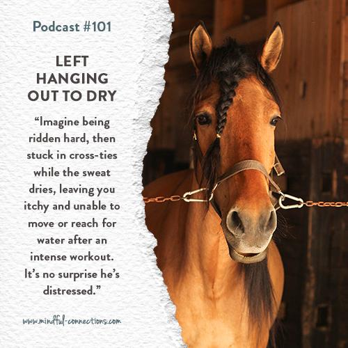 https://static.libsyn.com/p/assets/a/d/f/1/adf1eab145aa26bee55e3c100dce7605/podcast_101_ICON.jpg