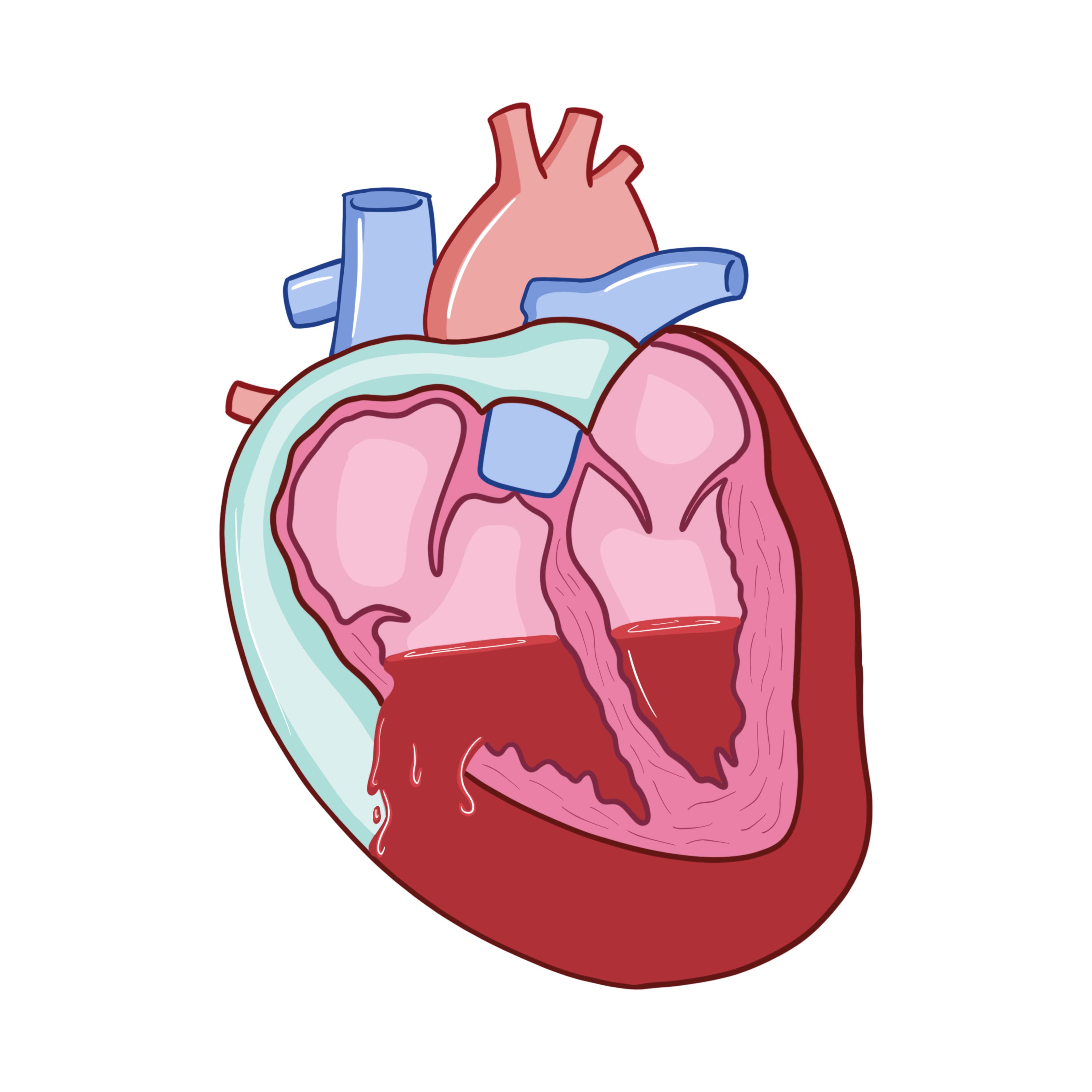 https://static.libsyn.com/p/assets/c/7/2/6/c72612816ed7118a16c3140a3186d450/Heart_JPEG.jpg