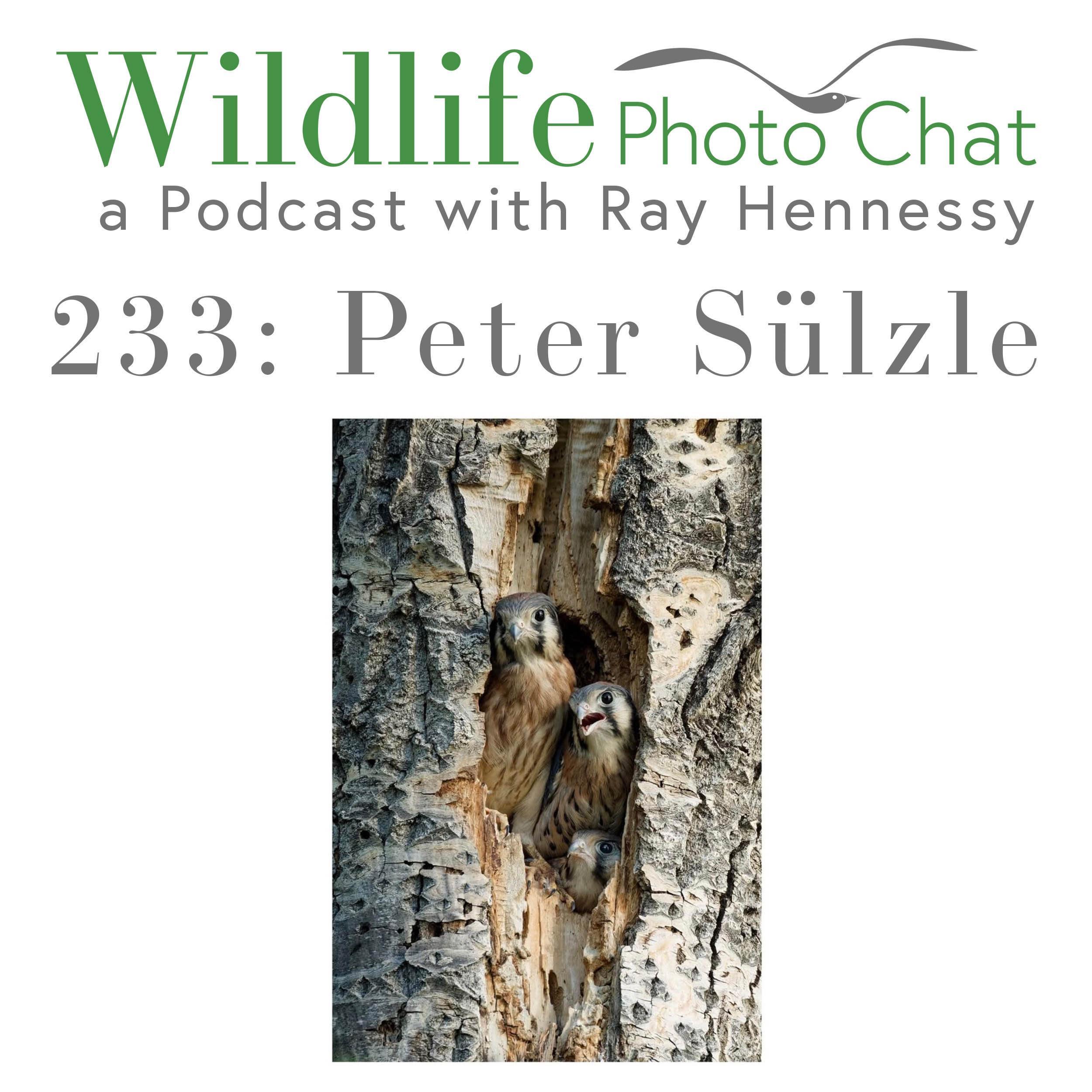 https://static.libsyn.com/p/assets/e/0/a/9/e0a93a9ac4dbb88a16c3140a3186d450/233_-_Peter_Sulzle.jpg