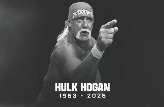 https://static.libsyn.com/p/assets/e/2/5/1/e251b8f110db171c16c3140a3186d450/hogan.jpg