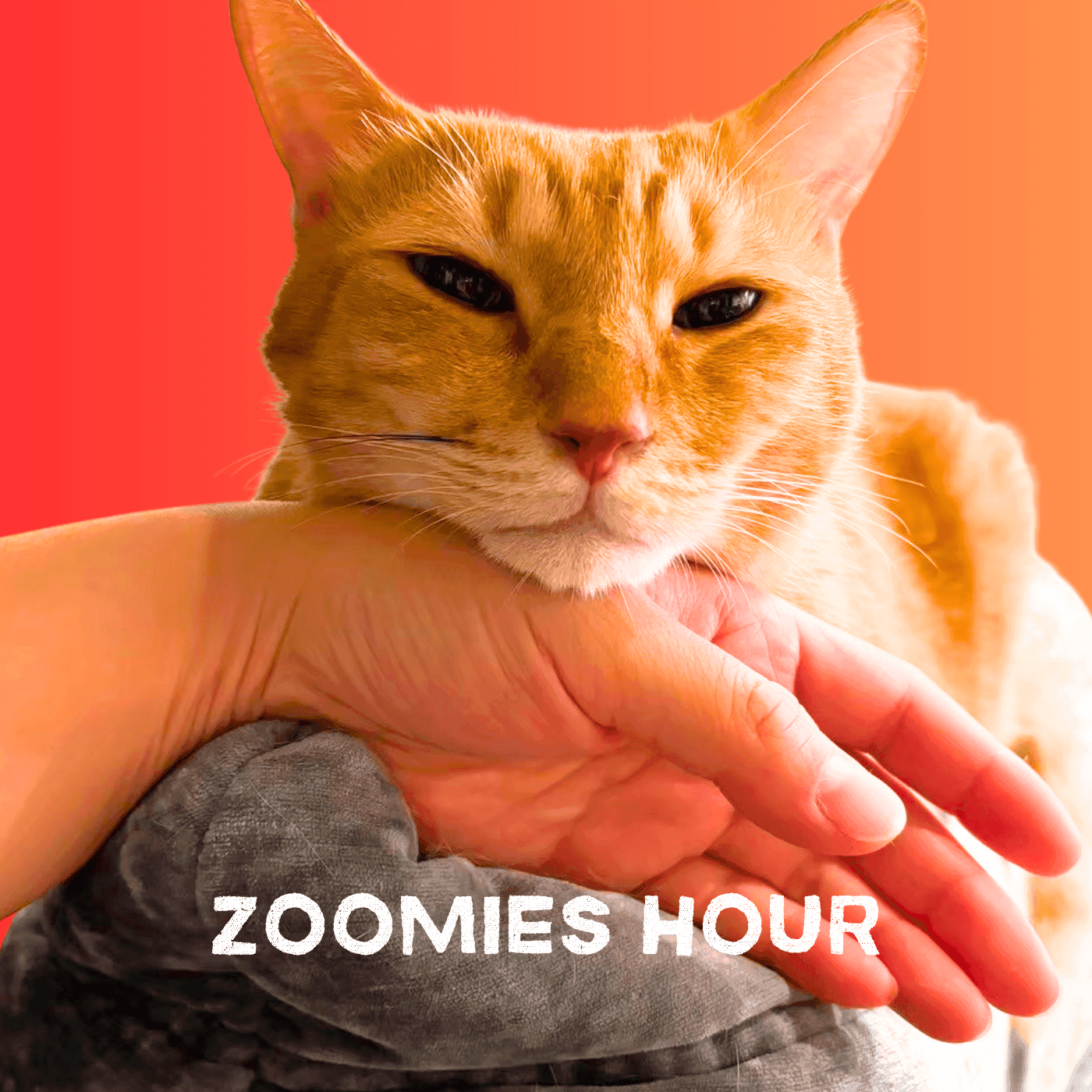https://static.sonicbowl.cloud/img/episode/bc1bc41e-924c-4843-83bb-2572f377c100-20250626204419.png