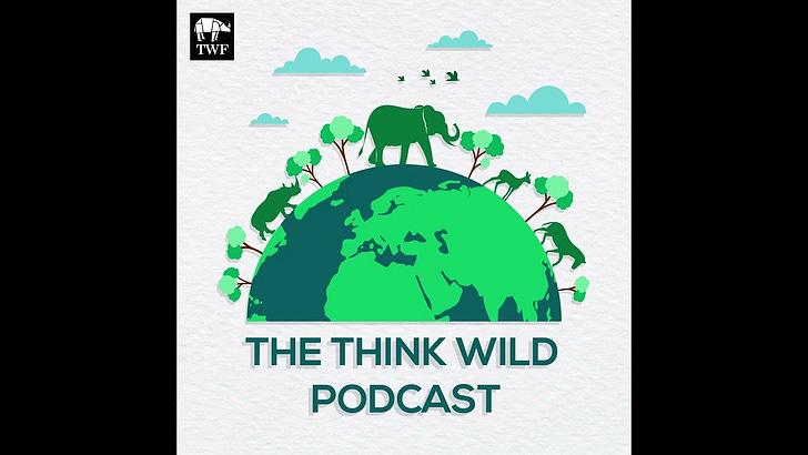 https://substackcdn.com/feed/podcast/1189522/post/163760321/f28c7401b4521939ec7493b25484a776.jpg