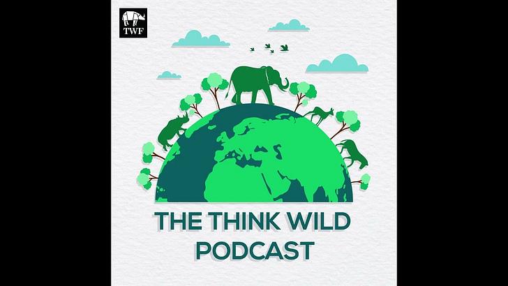 https://substackcdn.com/feed/podcast/1189522/post/171752638/5a25326ddbc3a05d1196a632fd2234d0.jpg